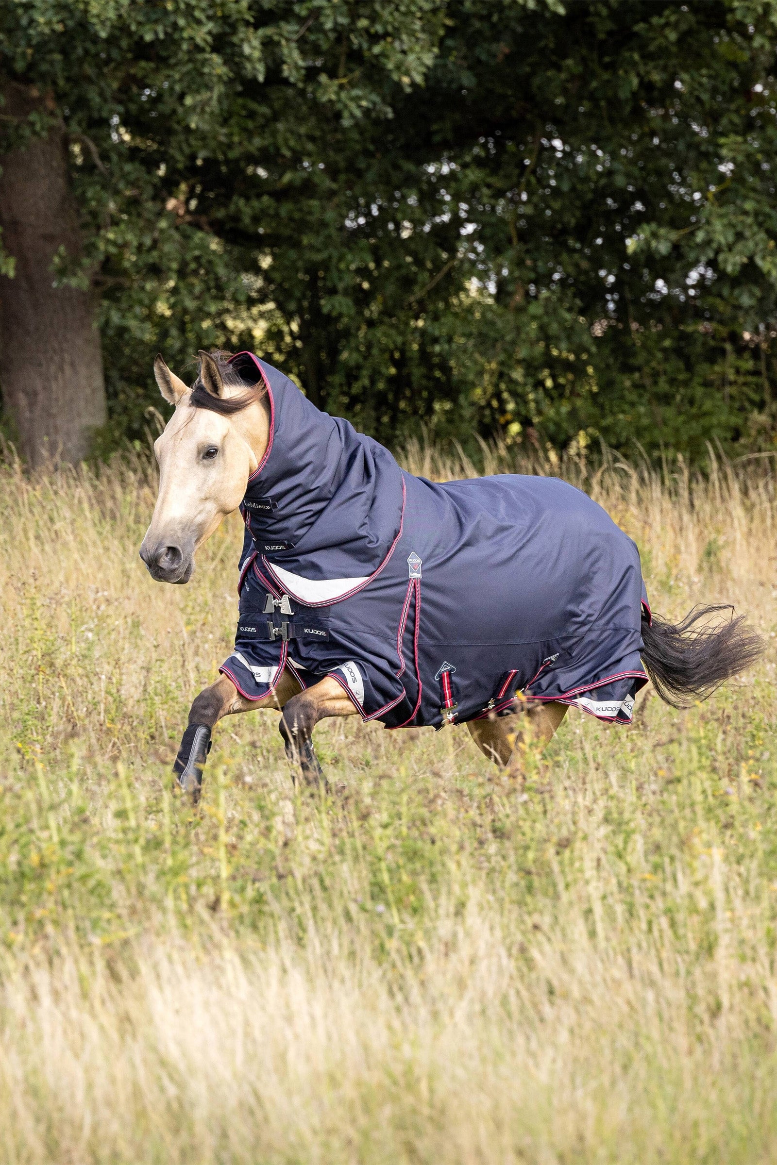 LeMieux Kudos Lightweight Turnout Rug, 50g Dekken
