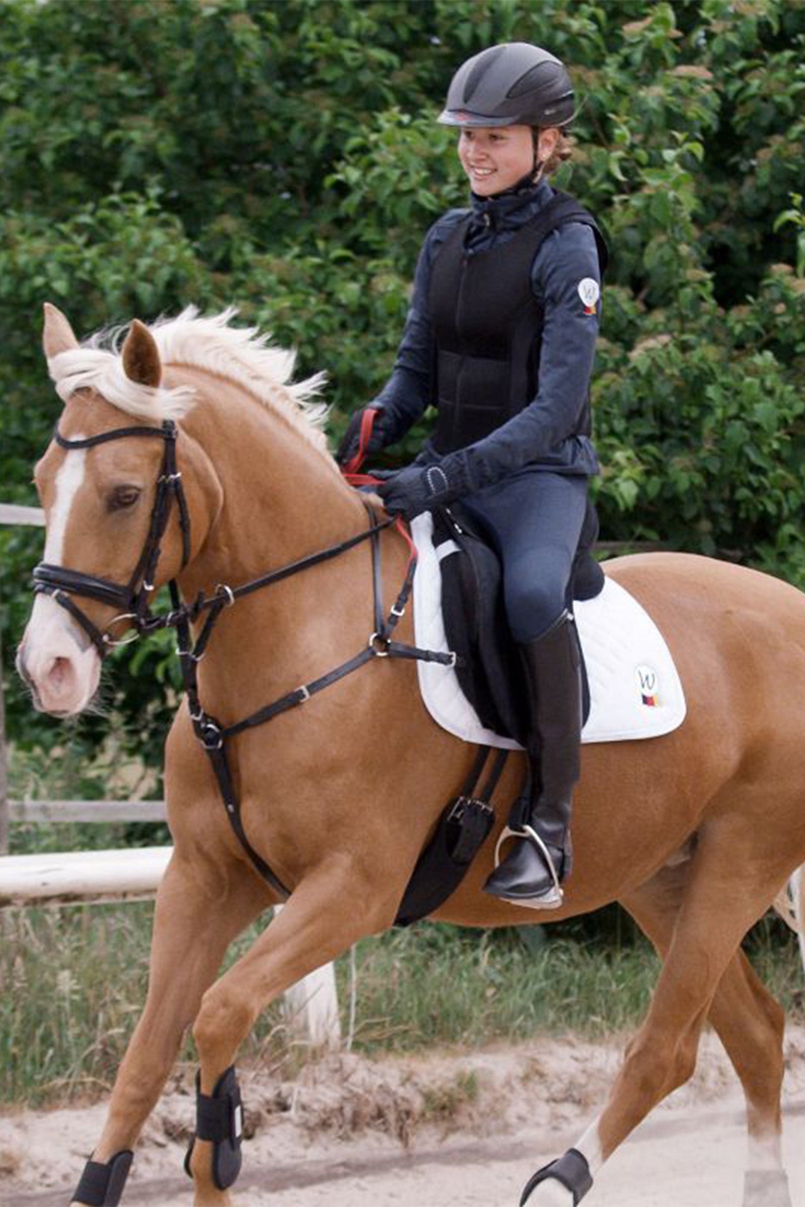 Waldhausen Secutrust Breastplate With Safety Reins Horse Training