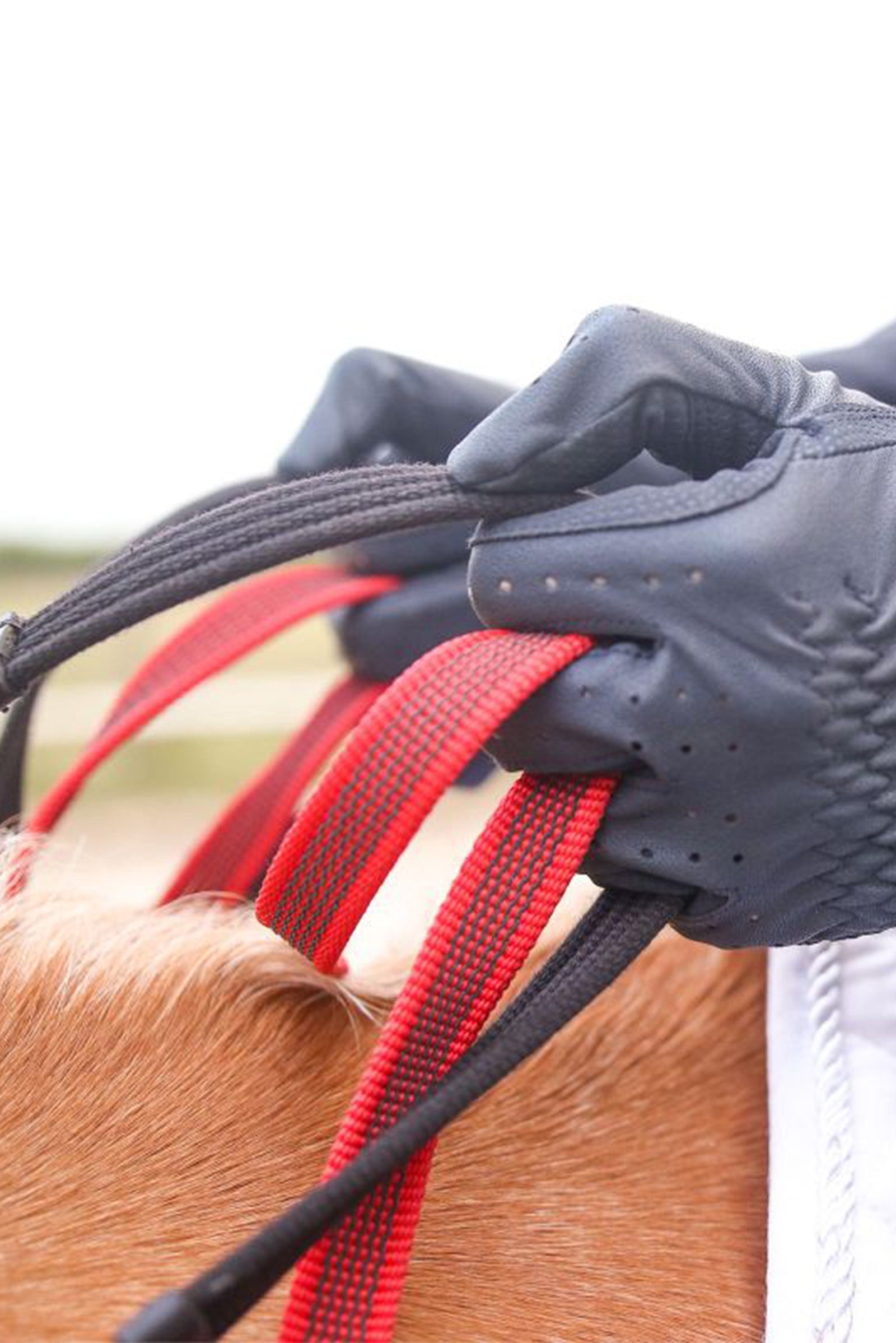 Waldhausen Secutrust Breastplate With Safety Reins Horse Training