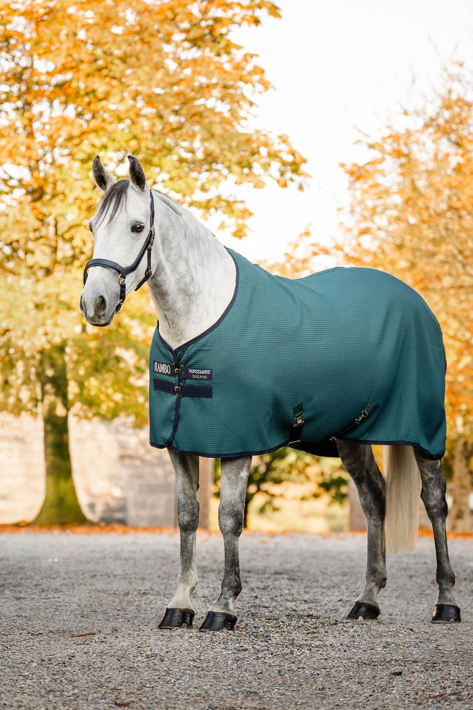 Horseware Rambo Techni Waffle svettedekken Dekken