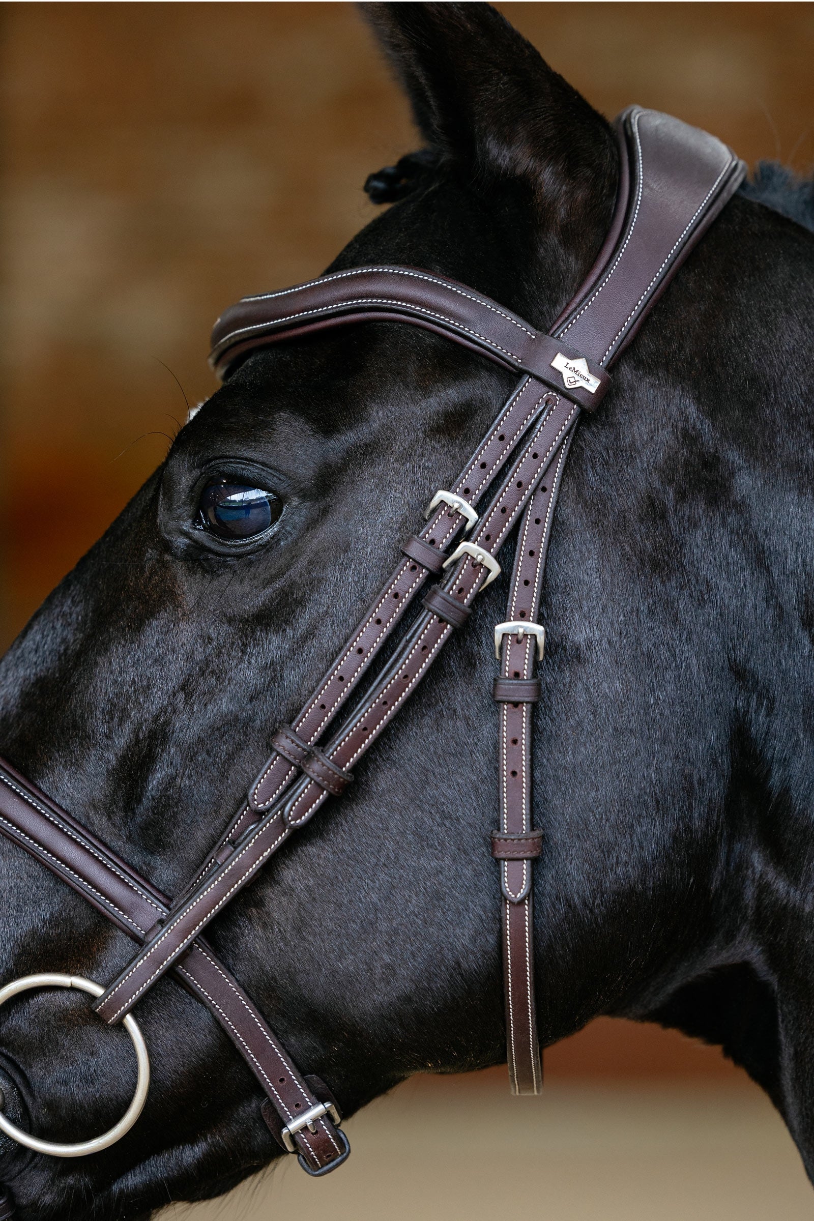LeMieux Kudos Contour Anatomichal Flash Bridle Bridles & Reins
