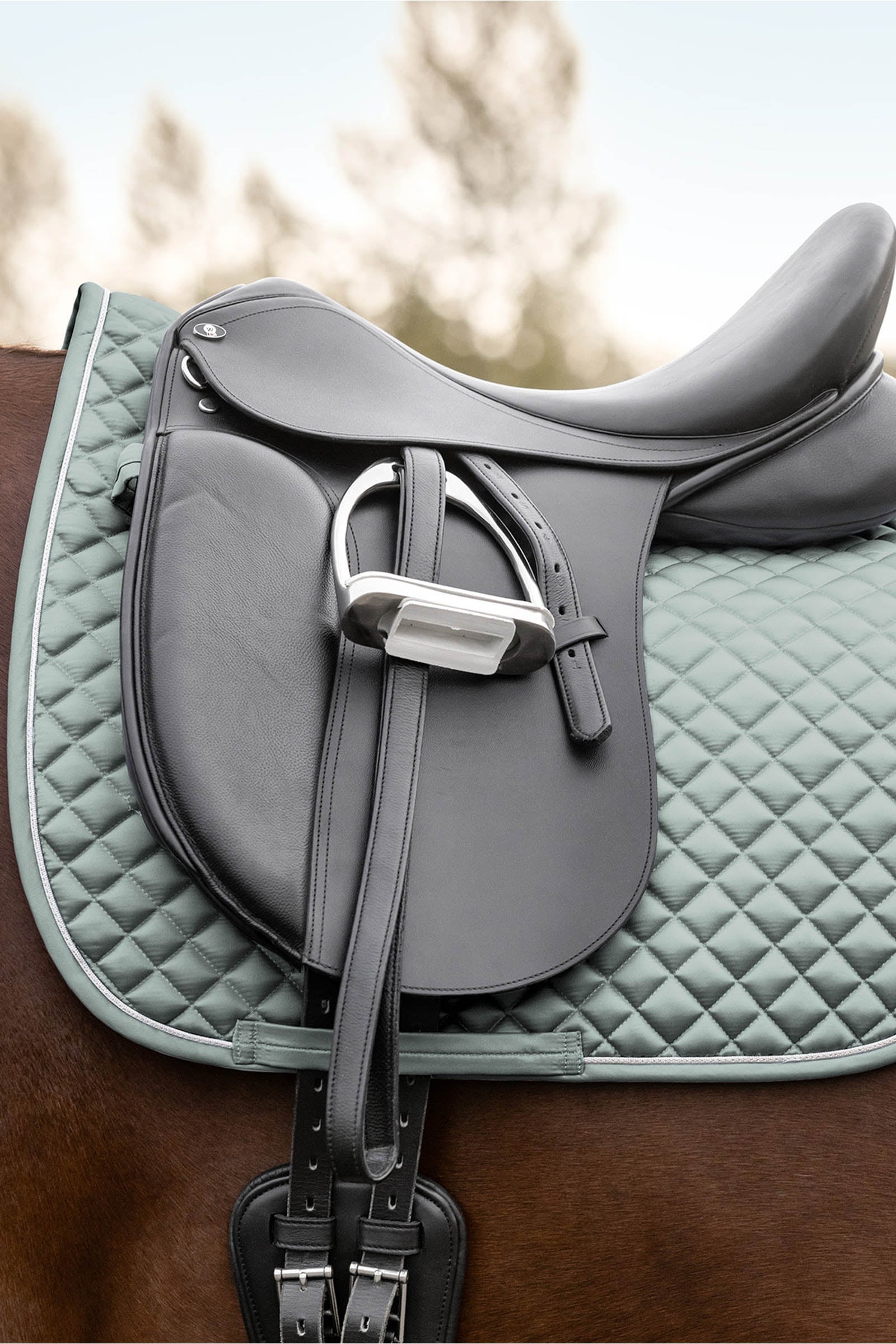 Waldhausen Felix Glam Dressage Saddle Pad Sjabraker