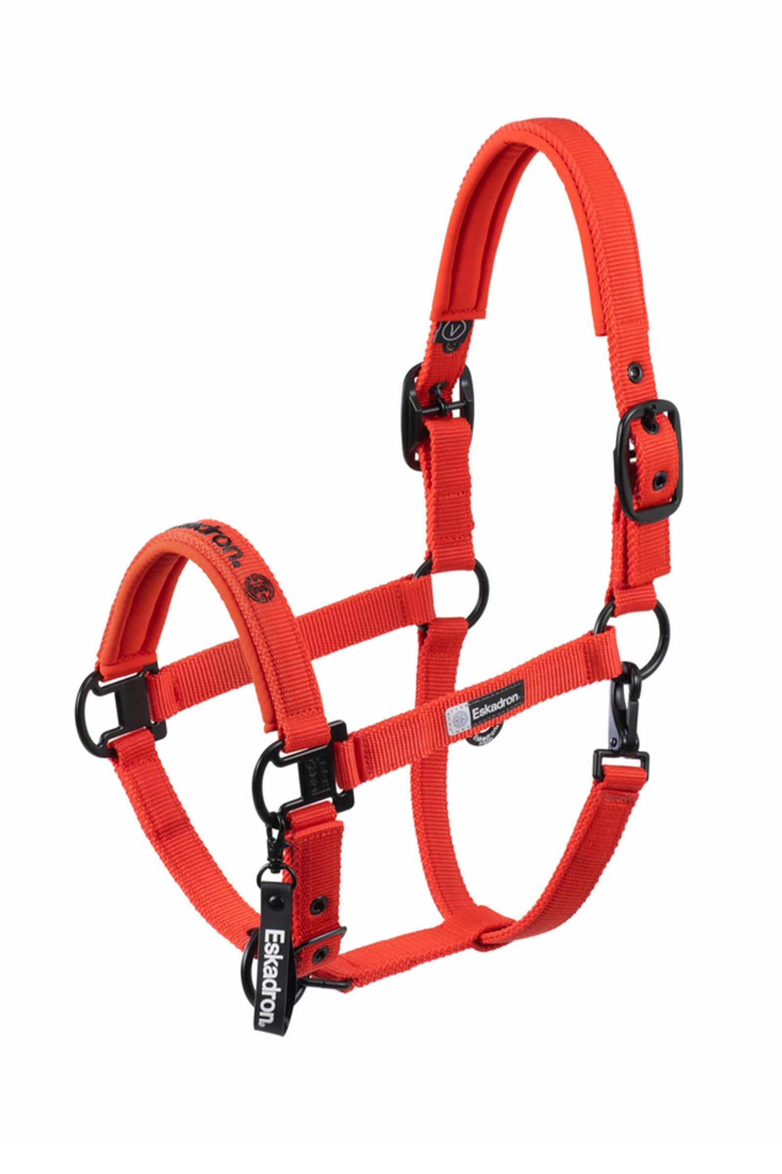 Eskadron Dynamics AW25 grime med dobbel spenne Grimer og leietau
