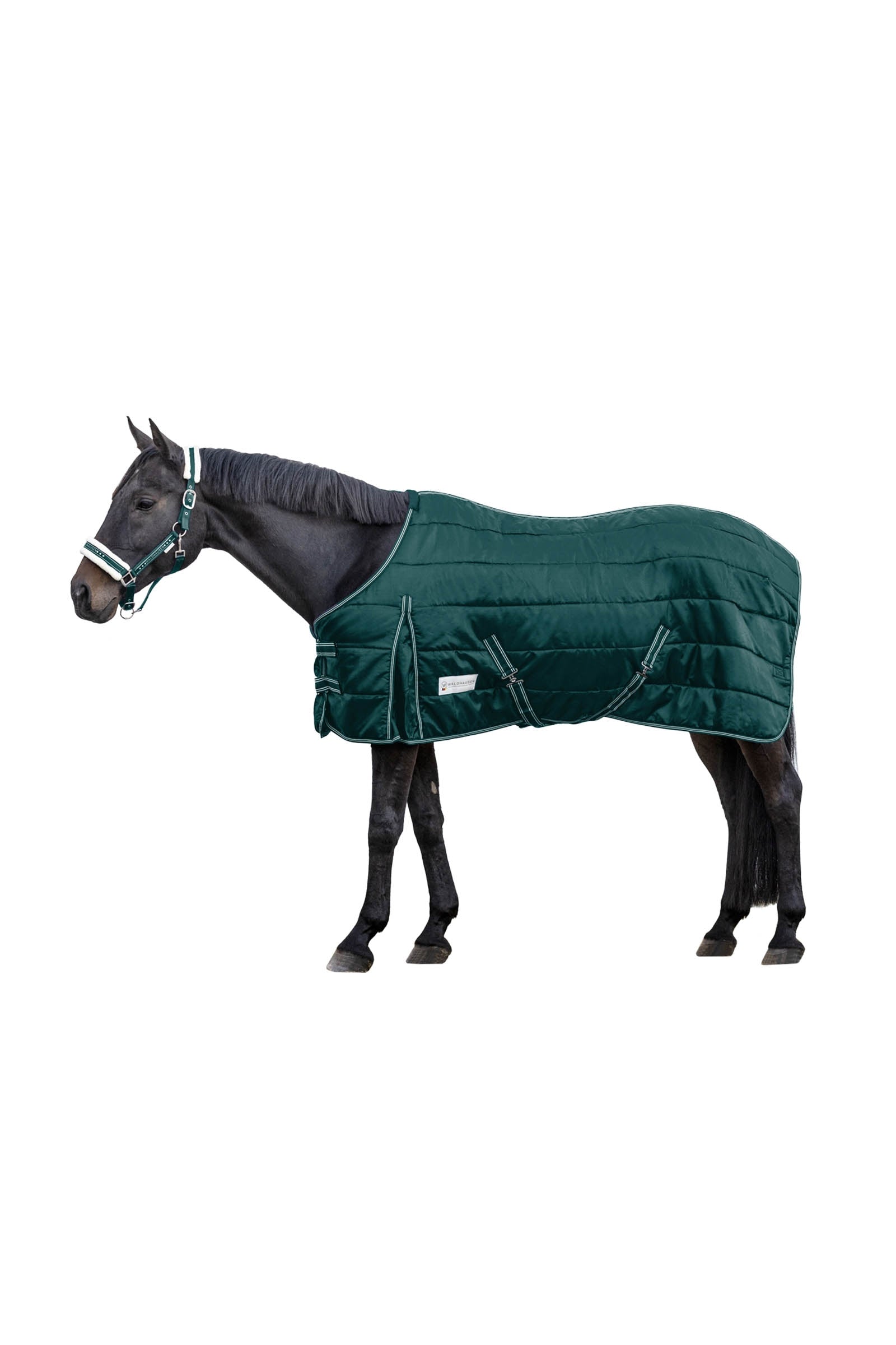Waldhausen Stable Rug Economic 100 g Dekken