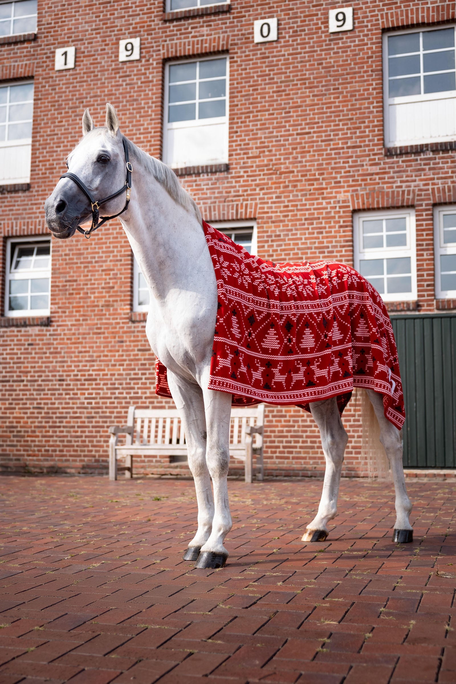 Horze Christmas Throw Horse Rugs