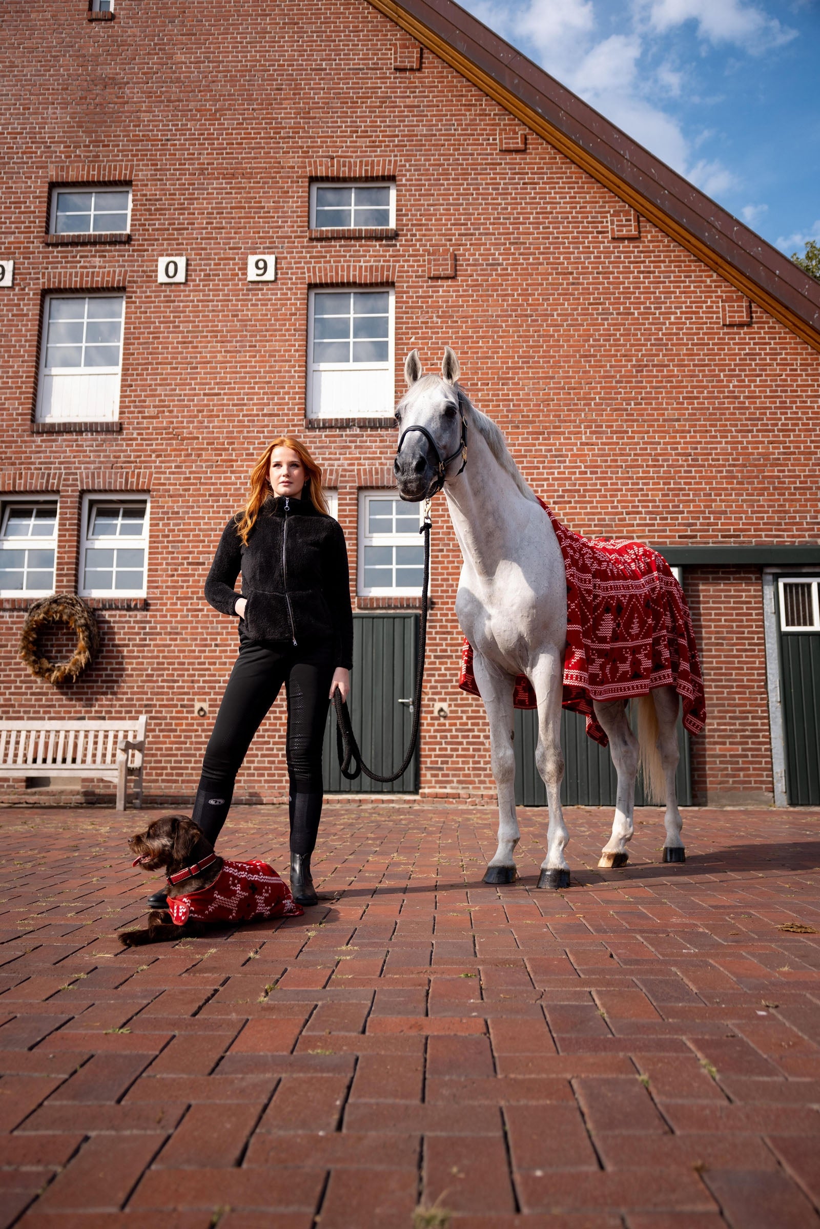 Horze Christmas Throw Horse Rugs