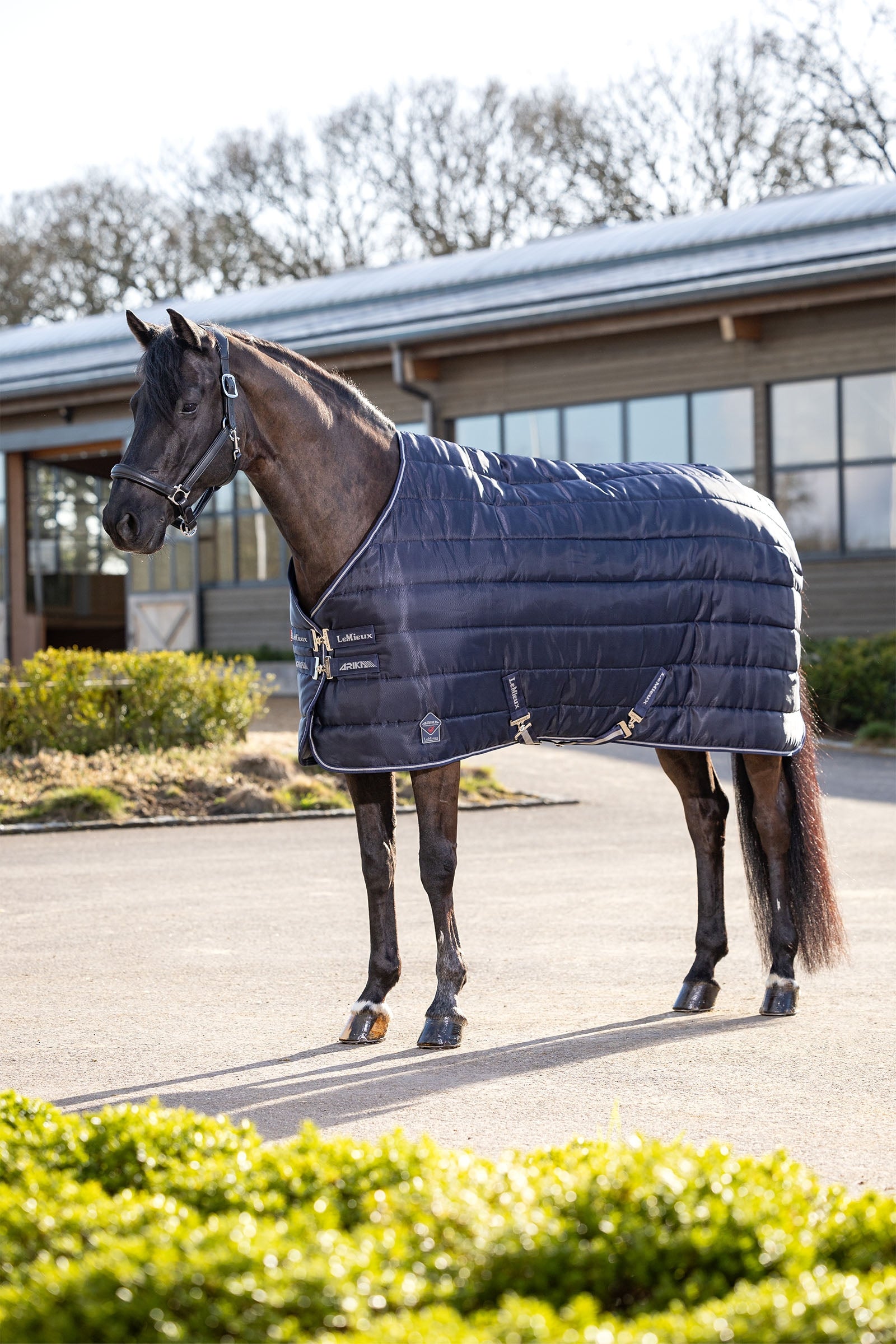 LeMieux Arika Stable-Tek 100g Dekken