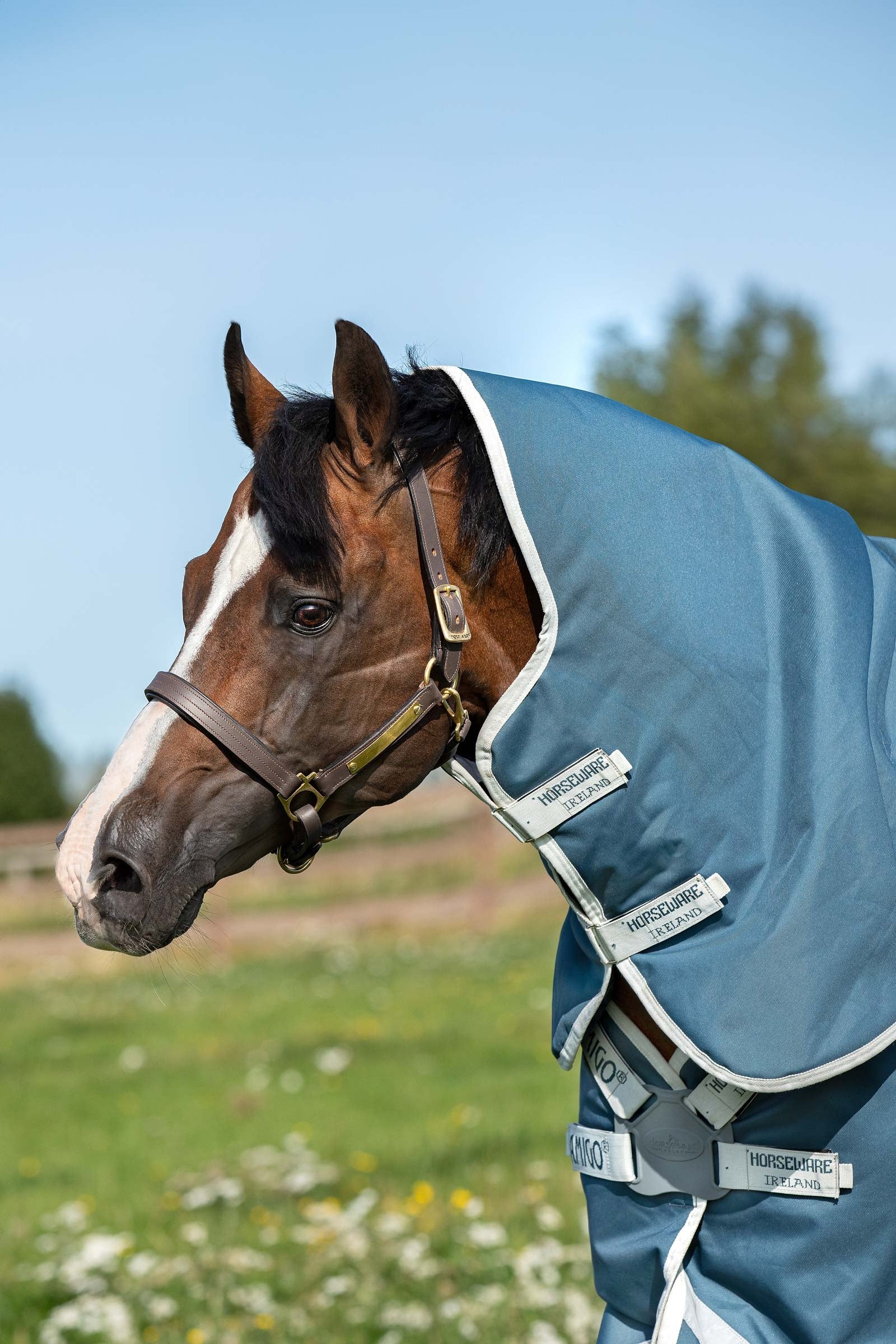 Horseware Amigo AmEco 12 Plus Turnout Rug With Detachable Neck, 0 g Horse Rugs
