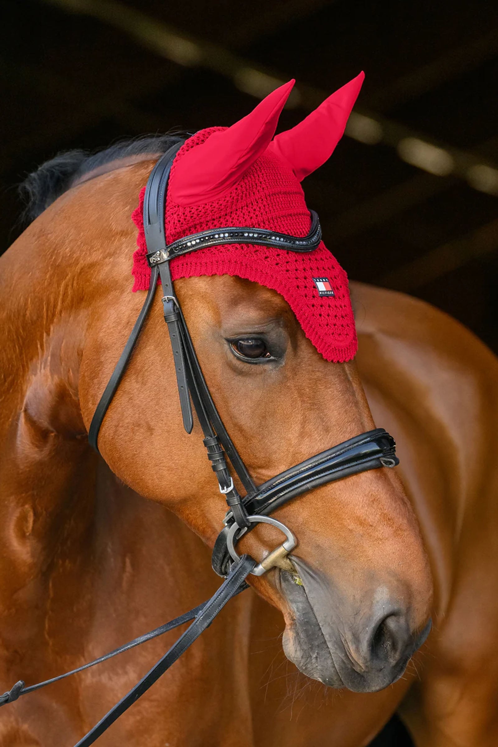 Tommy Hilfiger Equestrian Lexington Fly Hood Saddle Pads