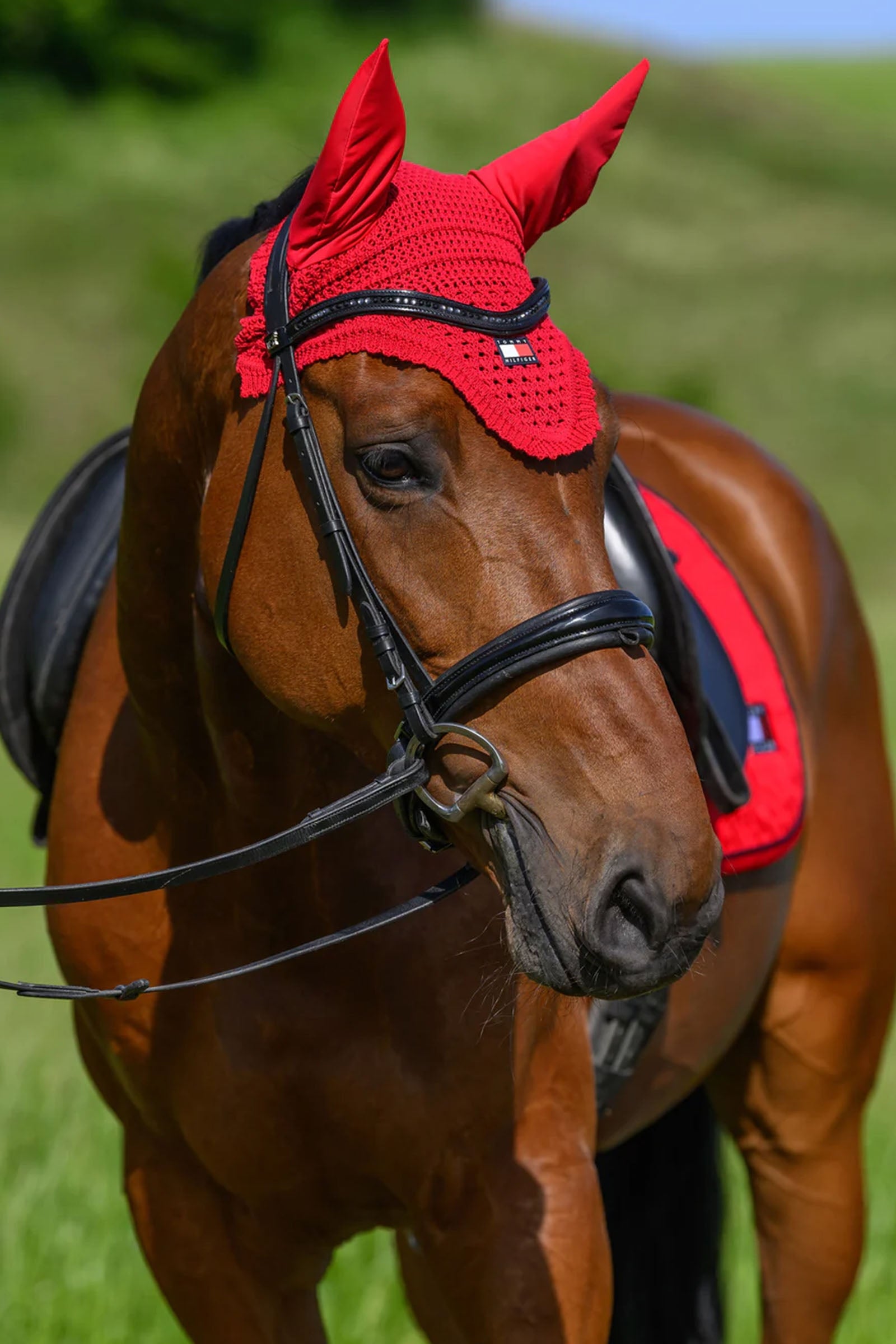 Tommy Hilfiger Equestrian Lexington Fly Hood Saddle Pads
