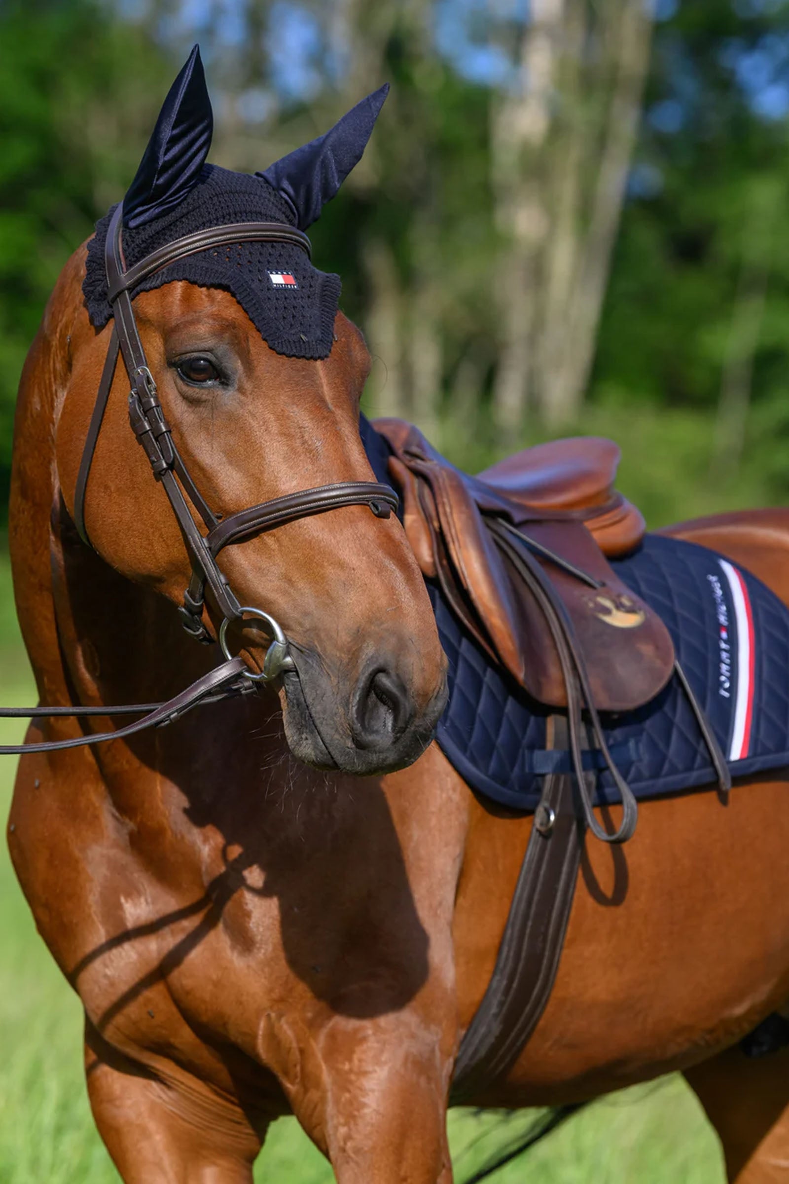 Tommy Hilfiger Equestrian Lexington Fly Hood Saddle Pads