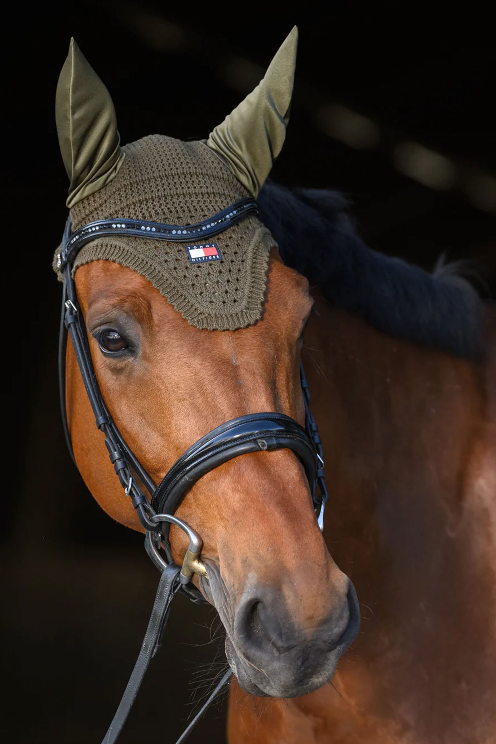 Tommy Hilfiger Equestrian Lexington Fly Hood Saddle Pads