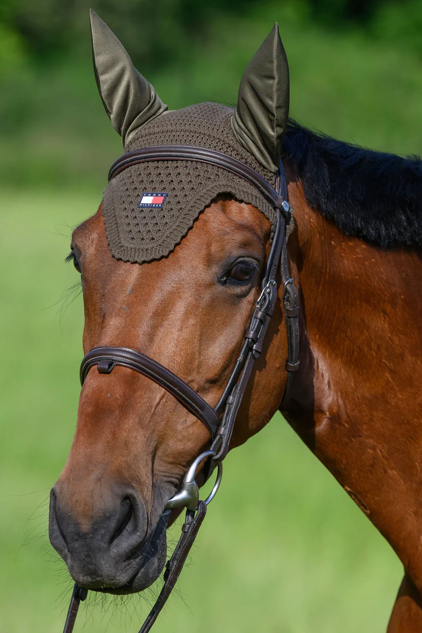 Tommy Hilfiger Equestrian Lexington Fly Hood Saddle Pads
