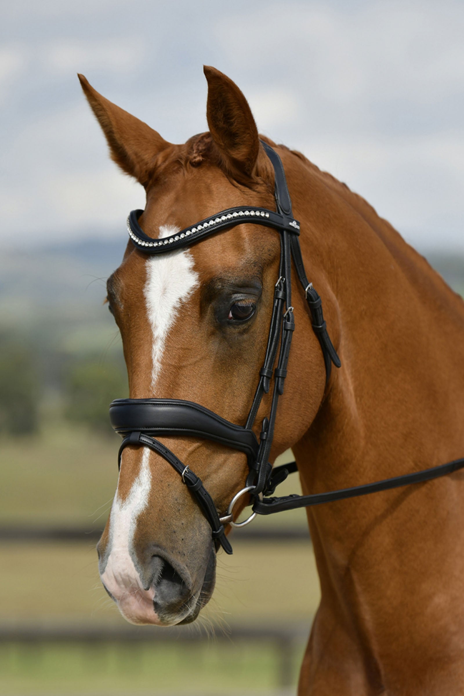 Collegiate Comfitec Opulux Padded Dressage Bridle Bridles & Reins