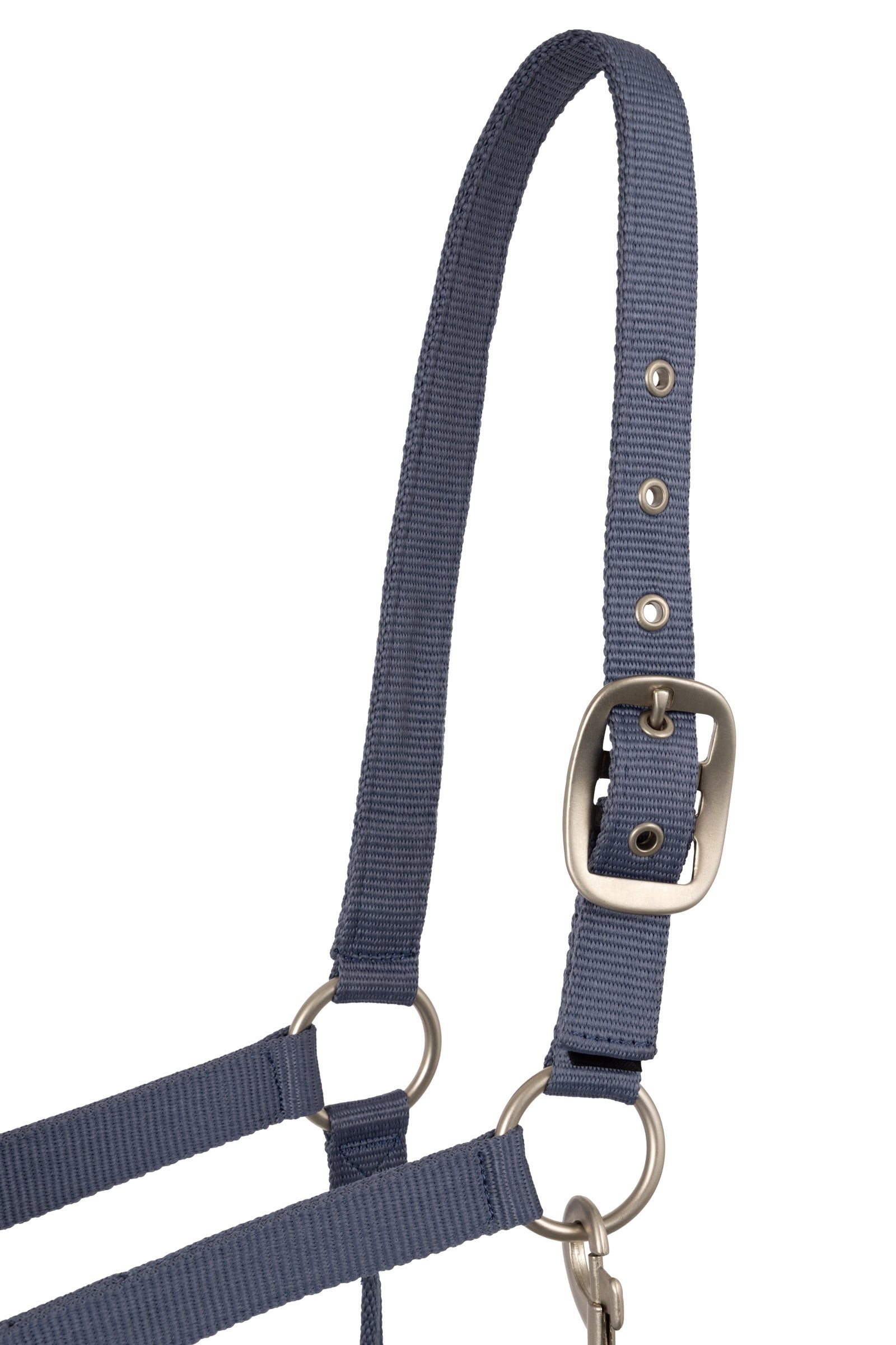 Horze Rose Tonique Halter Halters & Leads