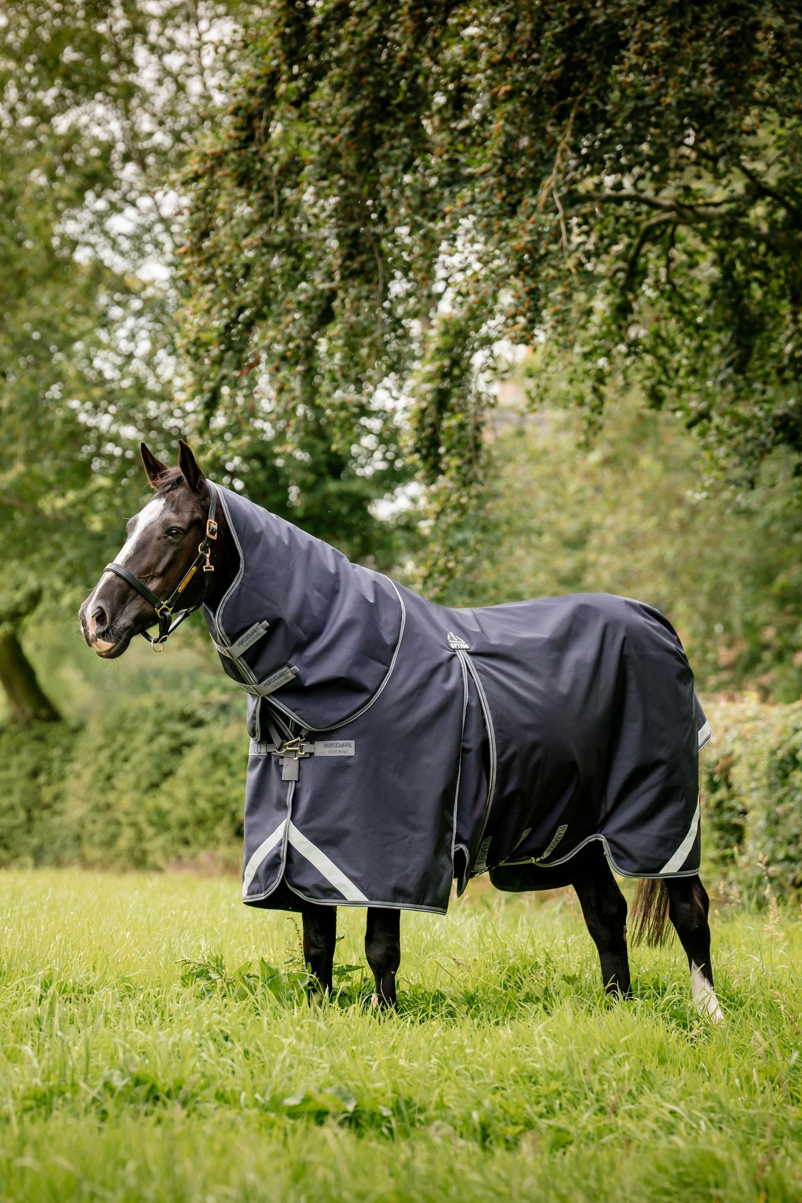 Horseware Rambo Optimo Plus Budle Beitedekken (med 200g Liner) Dekken