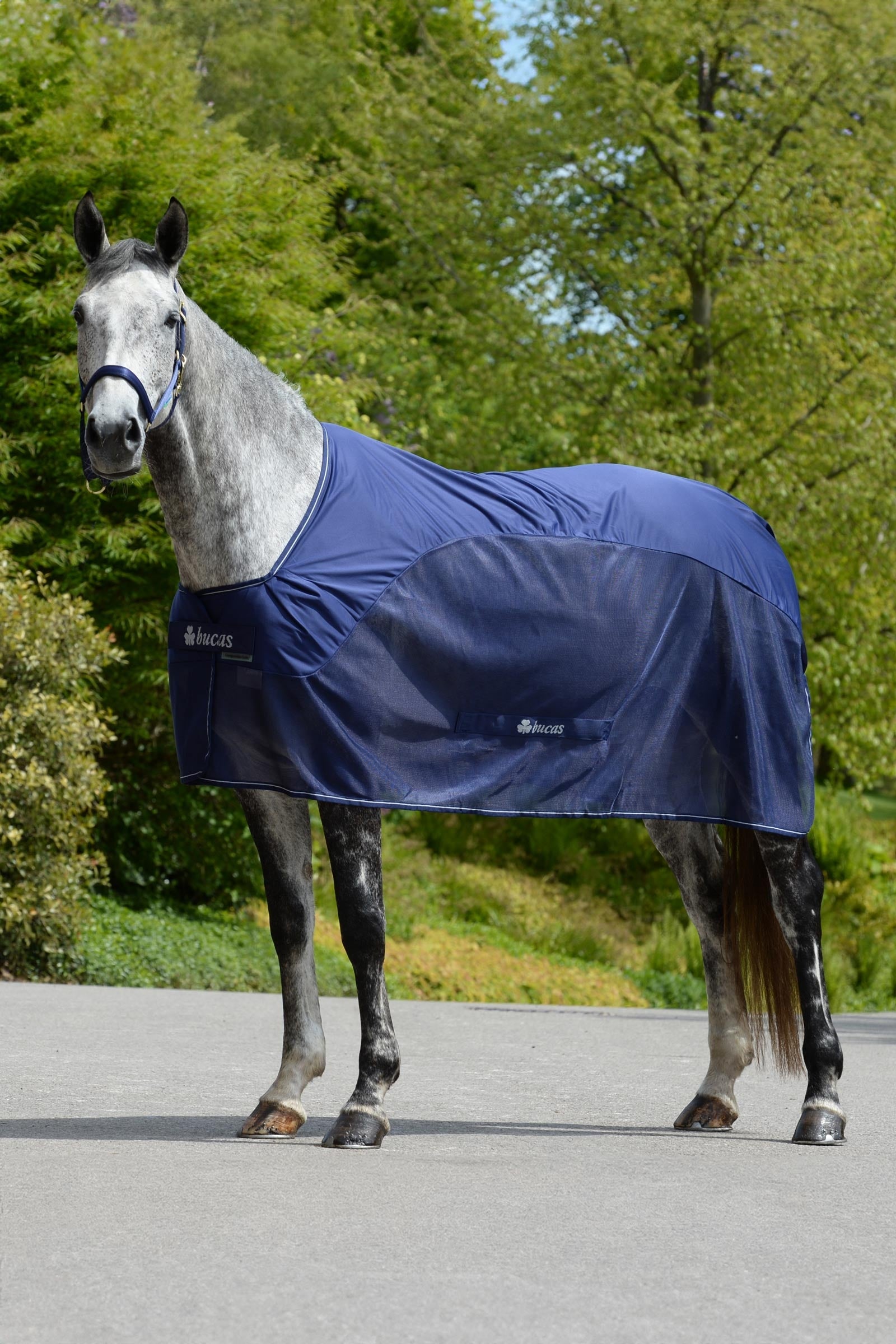 Bucas Competition Cooler Horse Rugs