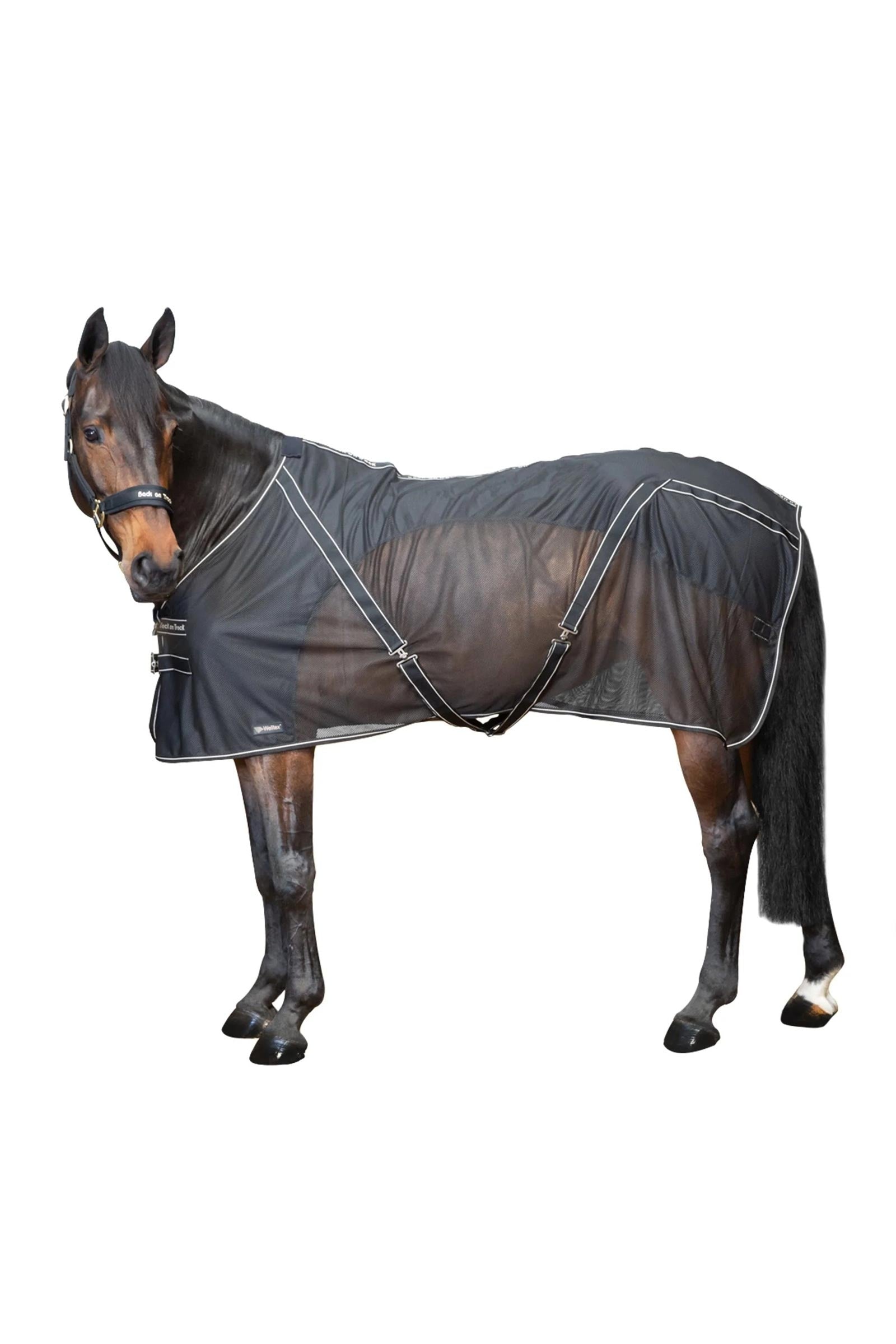 undefined Back on Track Sienna Cooler Horse Rugs