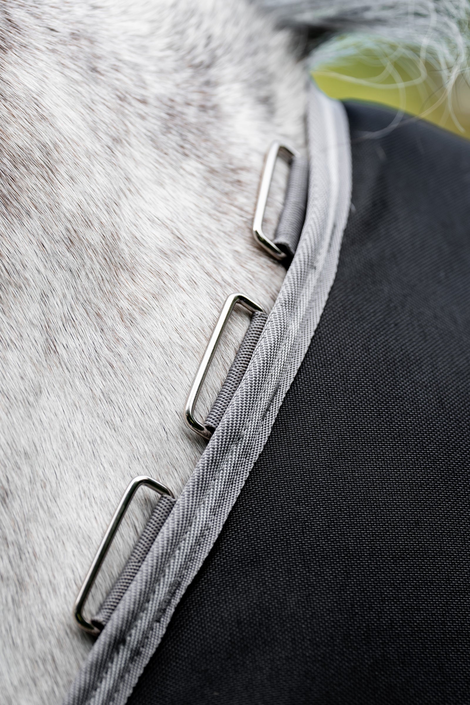 Horseware Amigo 1200D Plus Turnout Rug, 50 g Horse Rugs