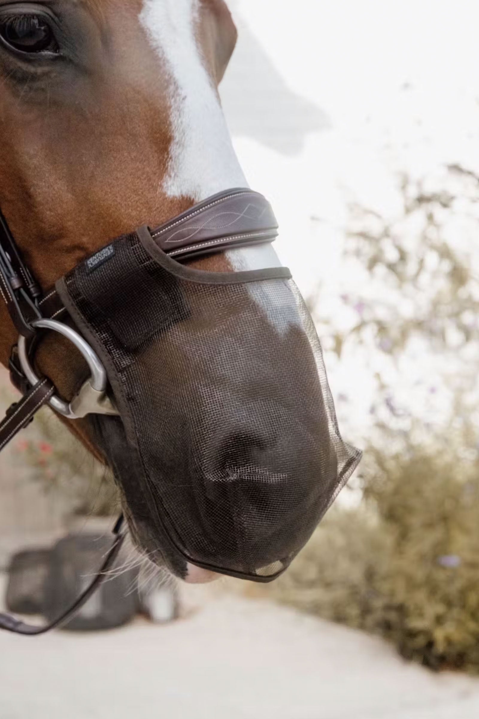 Kentucky Horsewear Anti fly nose net Antifly Protection for Horses