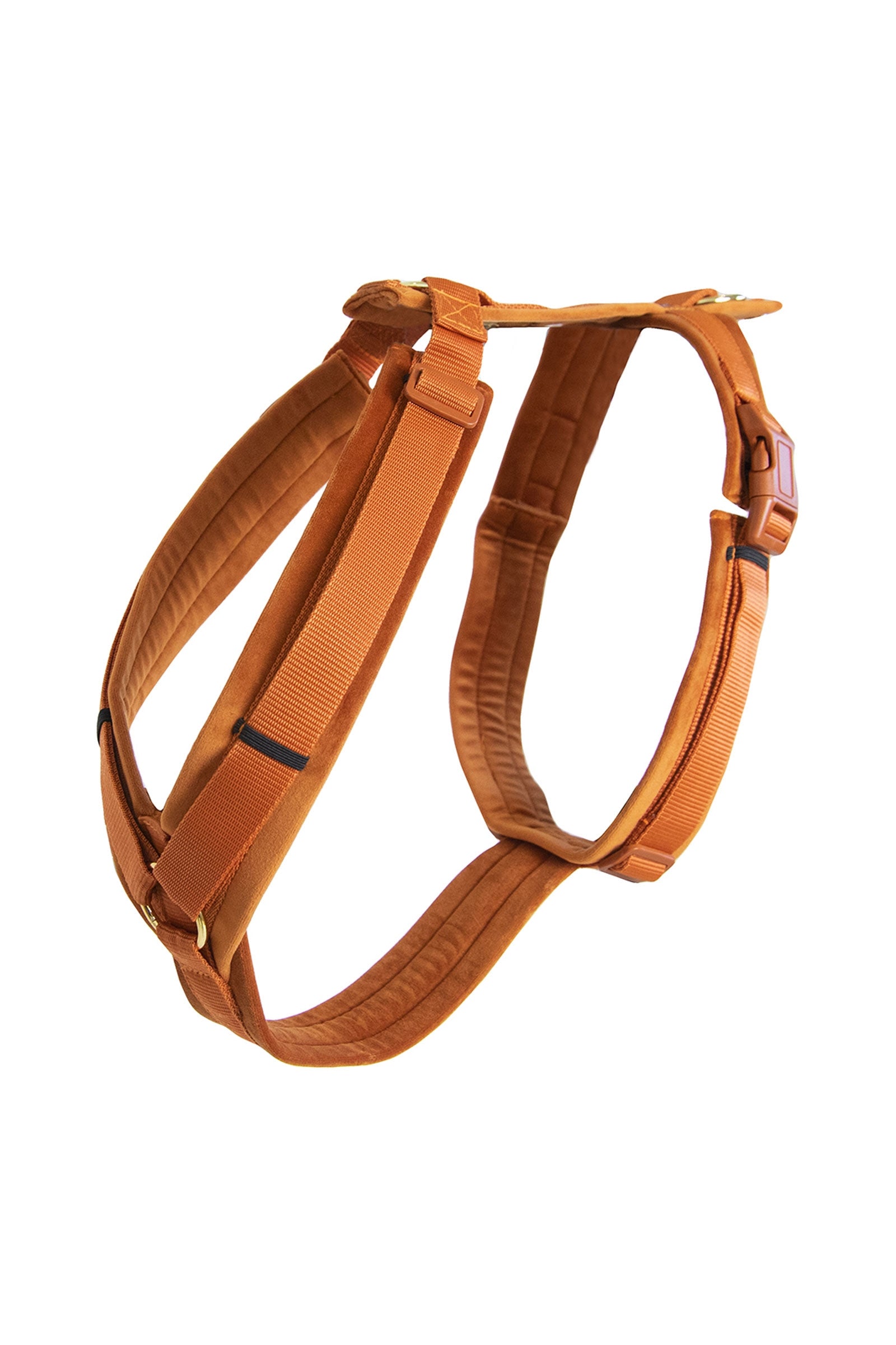 Kentucky Dogwear Active Velvet sele Hundeutstyr