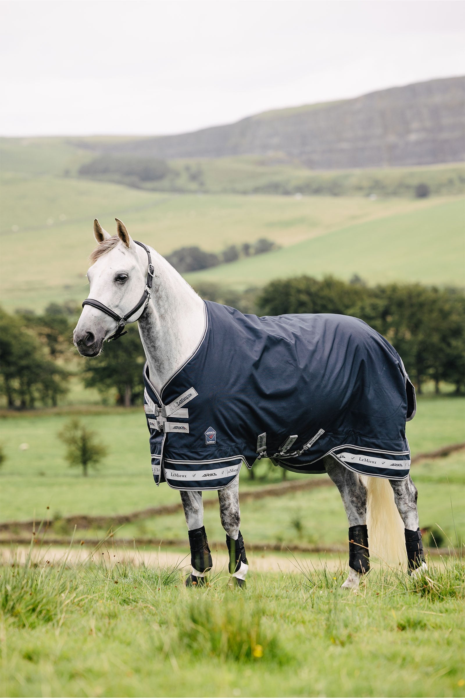 LeMieux Arika Featherweight Rug 0g Horse Rugs