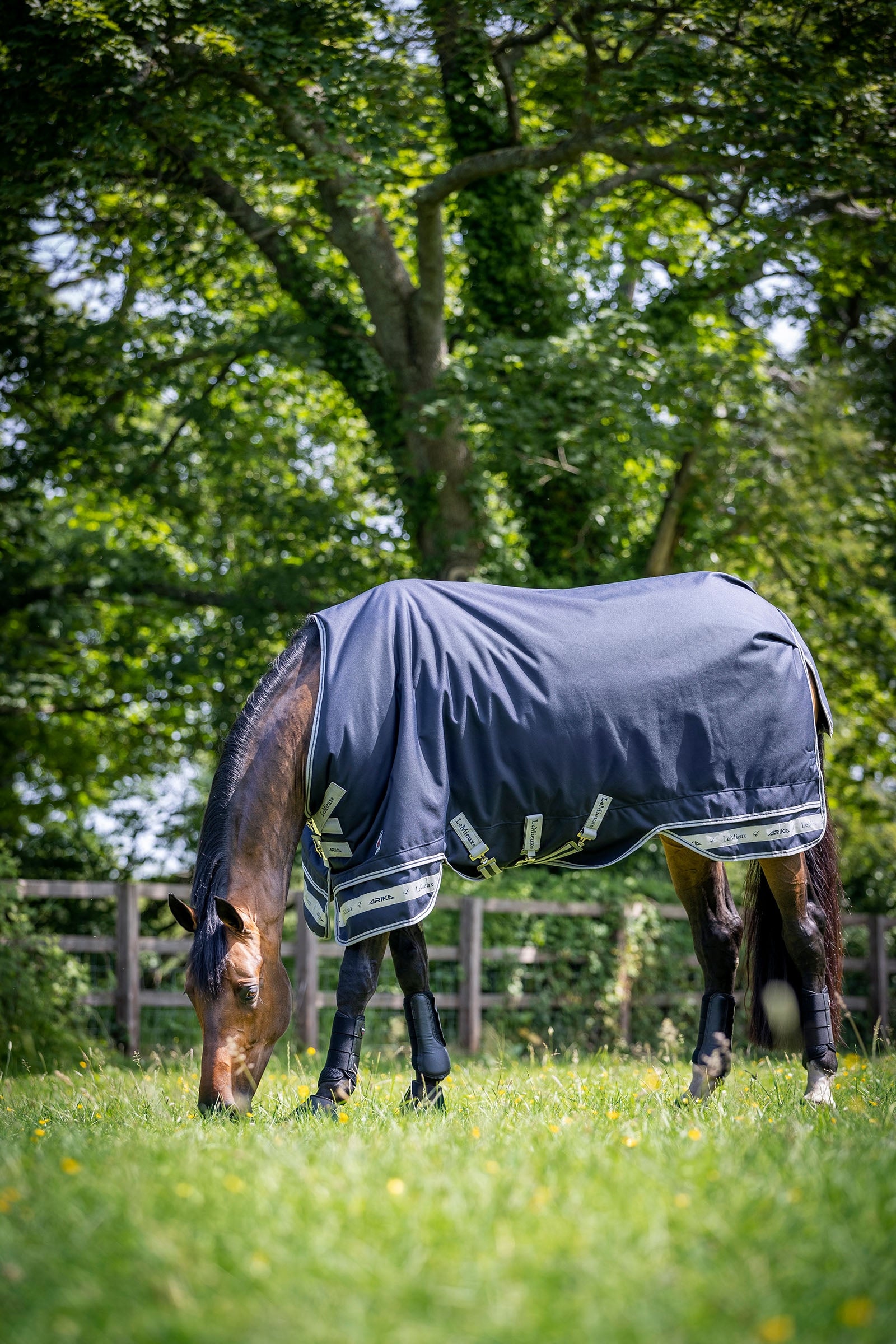 LeMieux Arika Featherweight Rug 0g Horse Rugs
