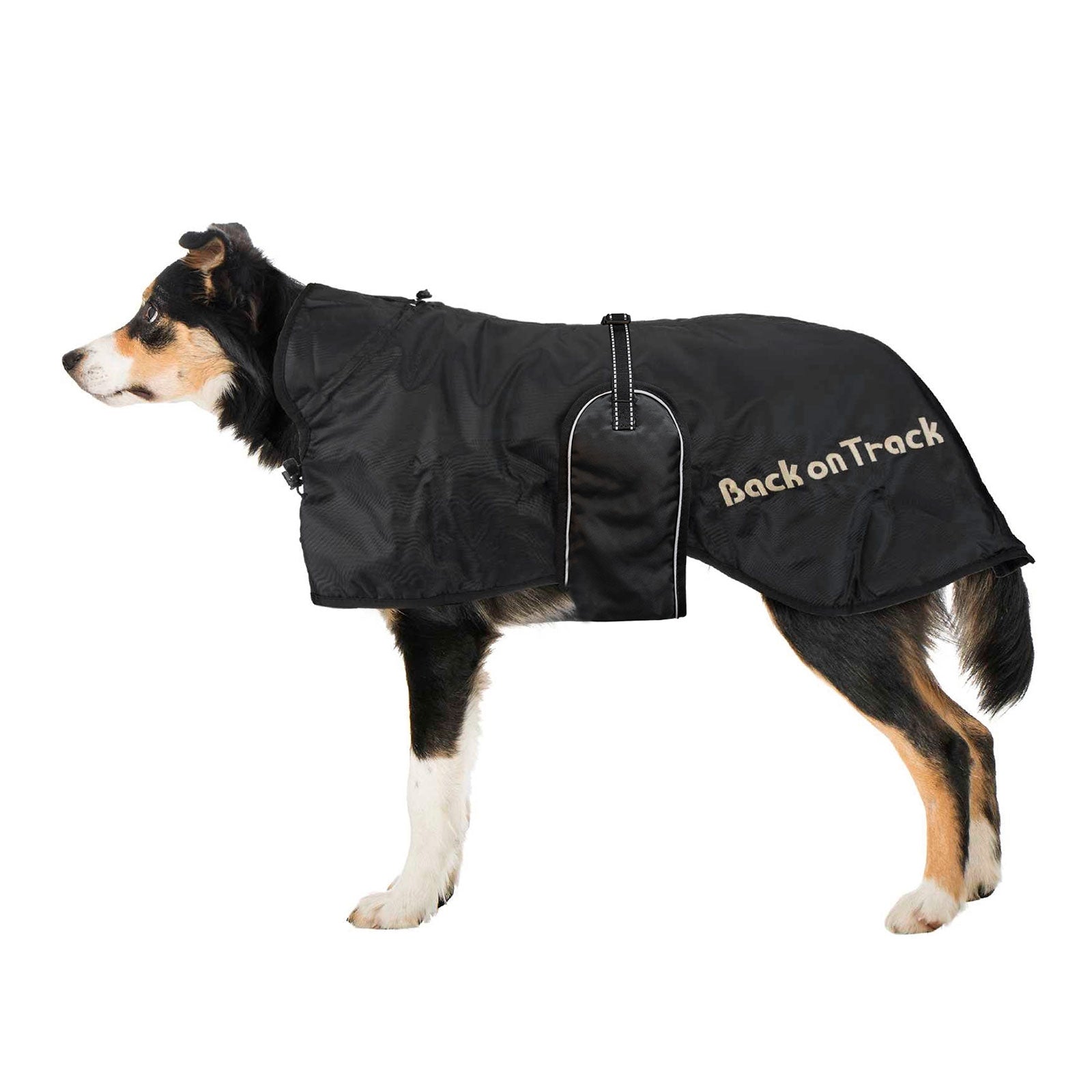 Back on Track hundedekken (63-91) Hundeutstyr