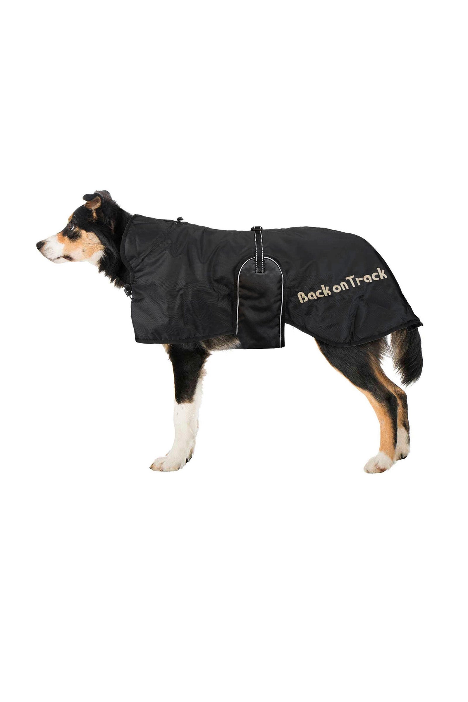 Back on Track hundedekken (43-59) Hundeutstyr