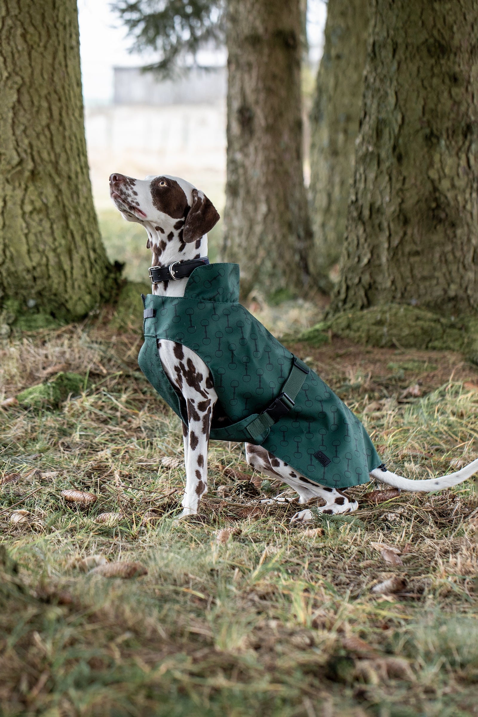 Horze Noir hundedekken med trykk Hundeutstyr