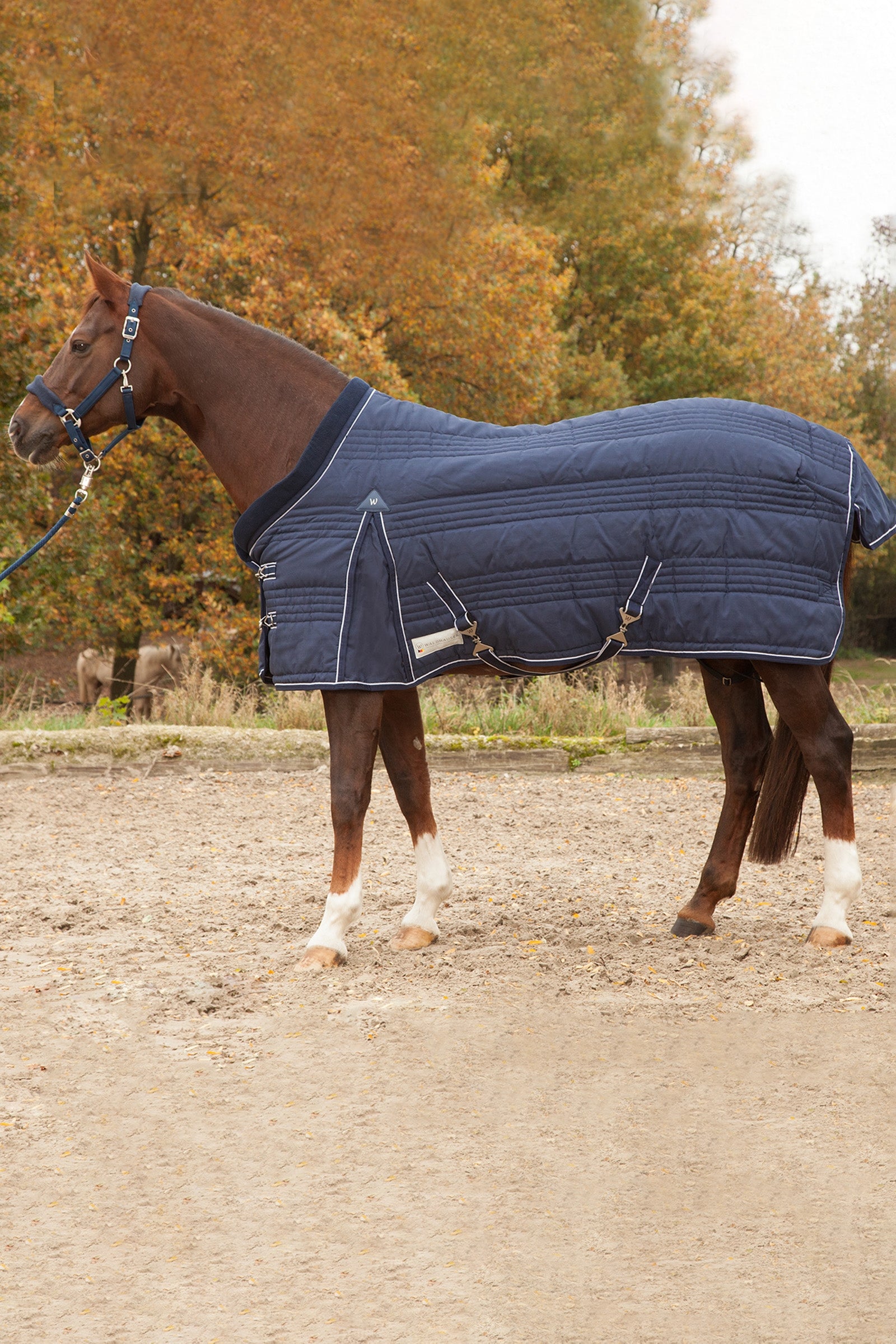 Waldhausen Stable Rug Comfort Line 200g Dekken