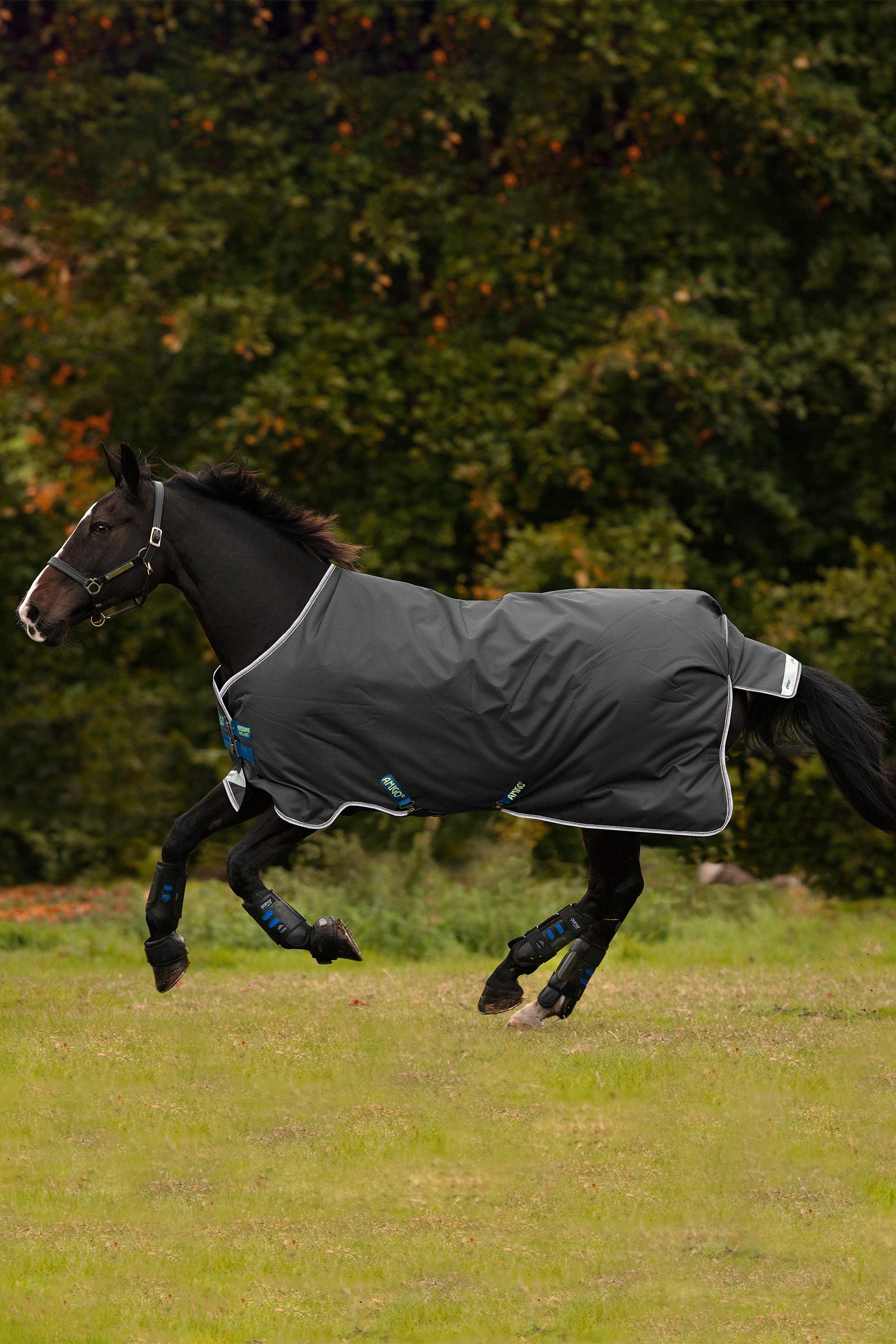 Horseware Amigo Bravo 12 utedekken, 100g Dekken