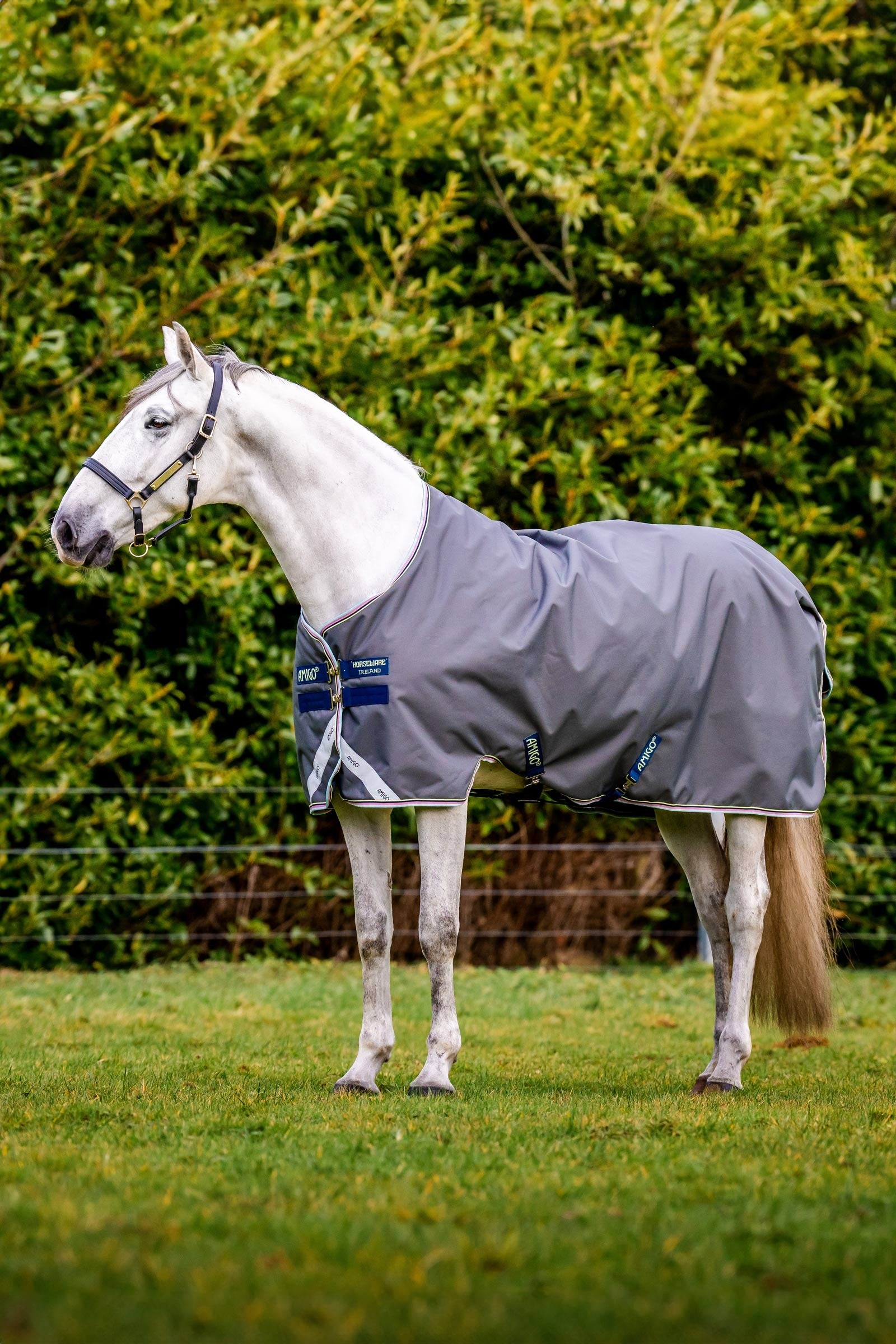 Horseware Amigo Bravo 12 Turnout Rug, 100g Horse Rugs