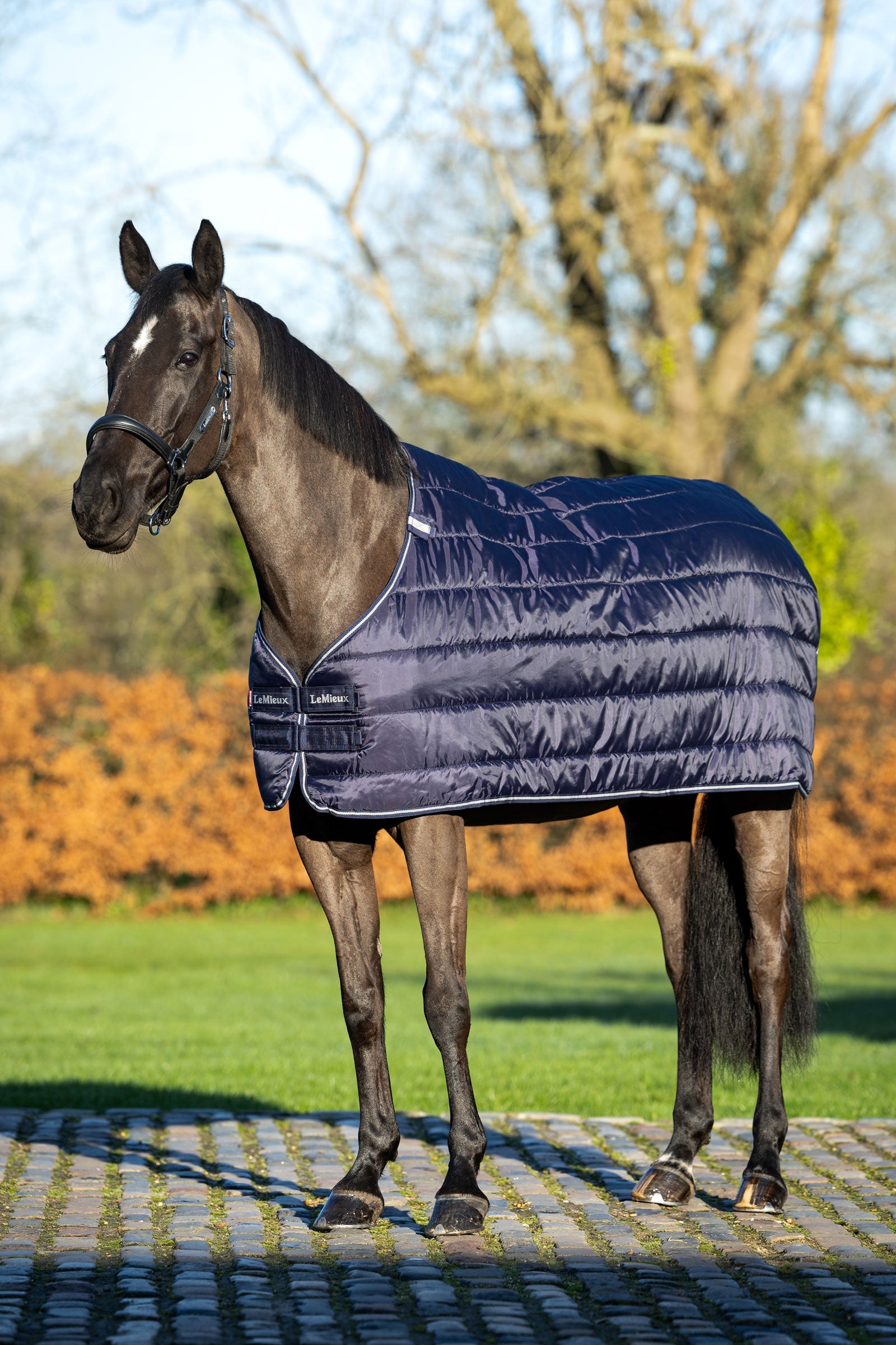 LeMieux Rug Liner, 100g
Horse Rugs