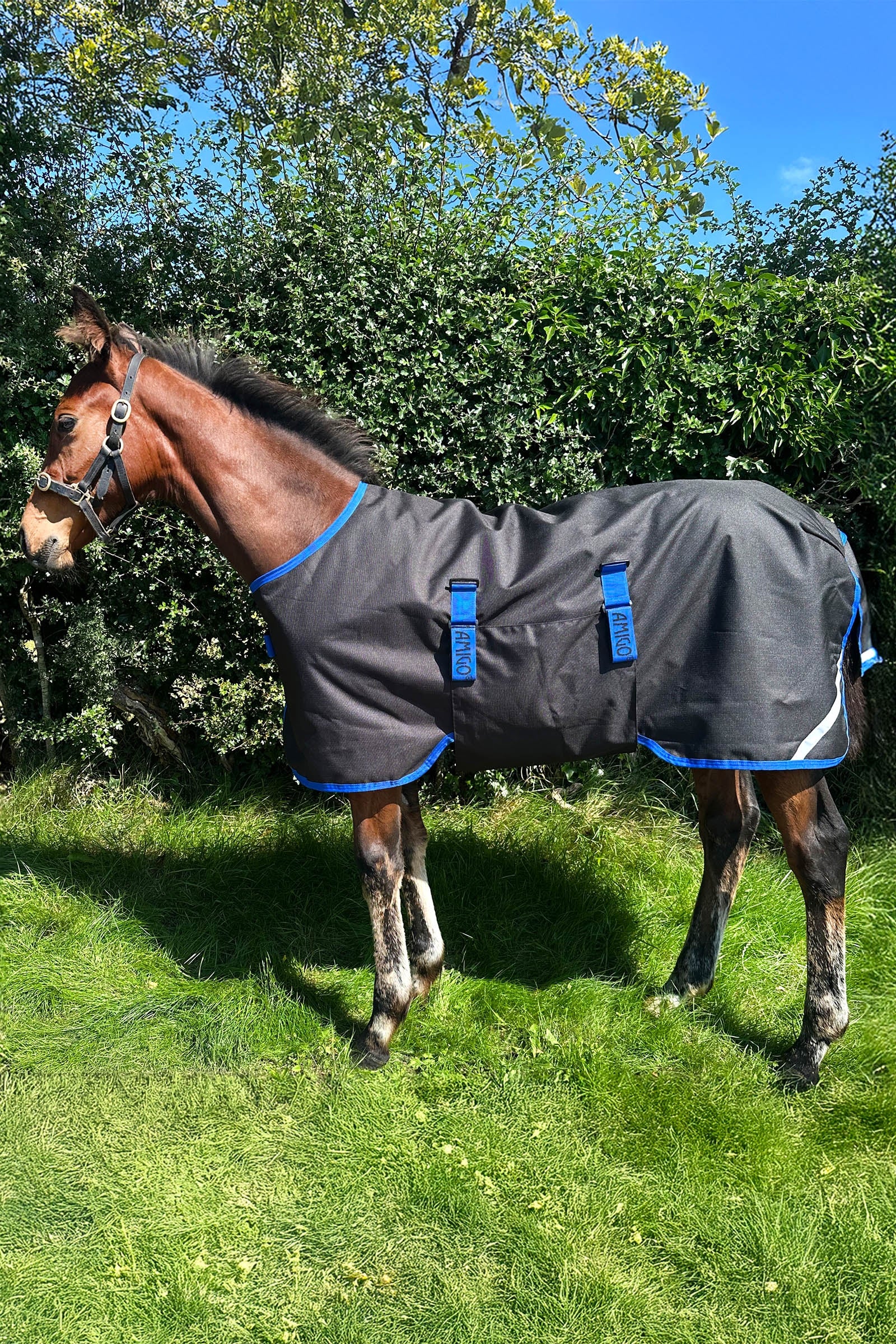 Horseware Amigo Ripstop 900D utedekken til føll 200g Dekken