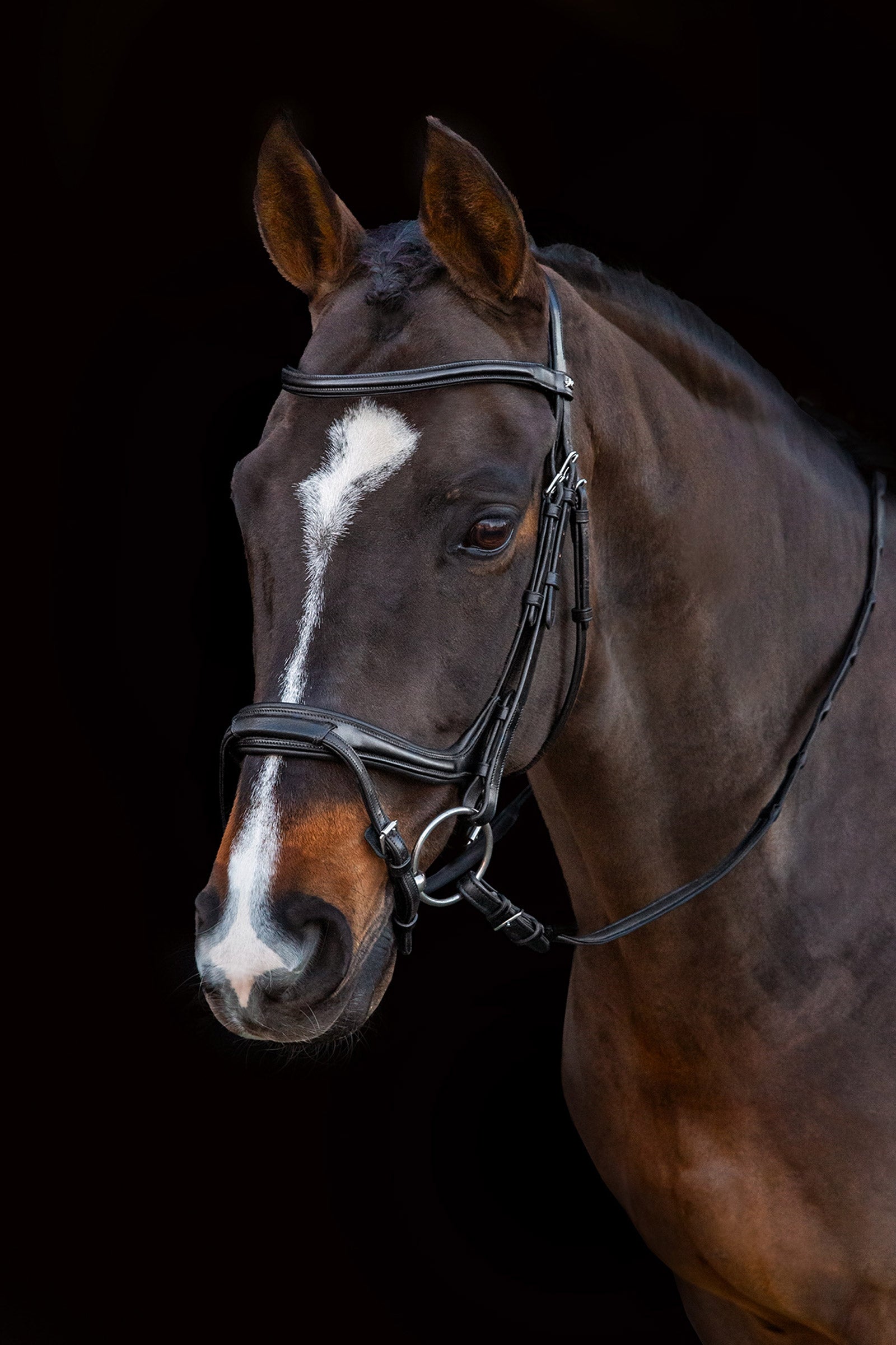 Schockemöhle Sports Ancona Select Bridle Bridles & Reins