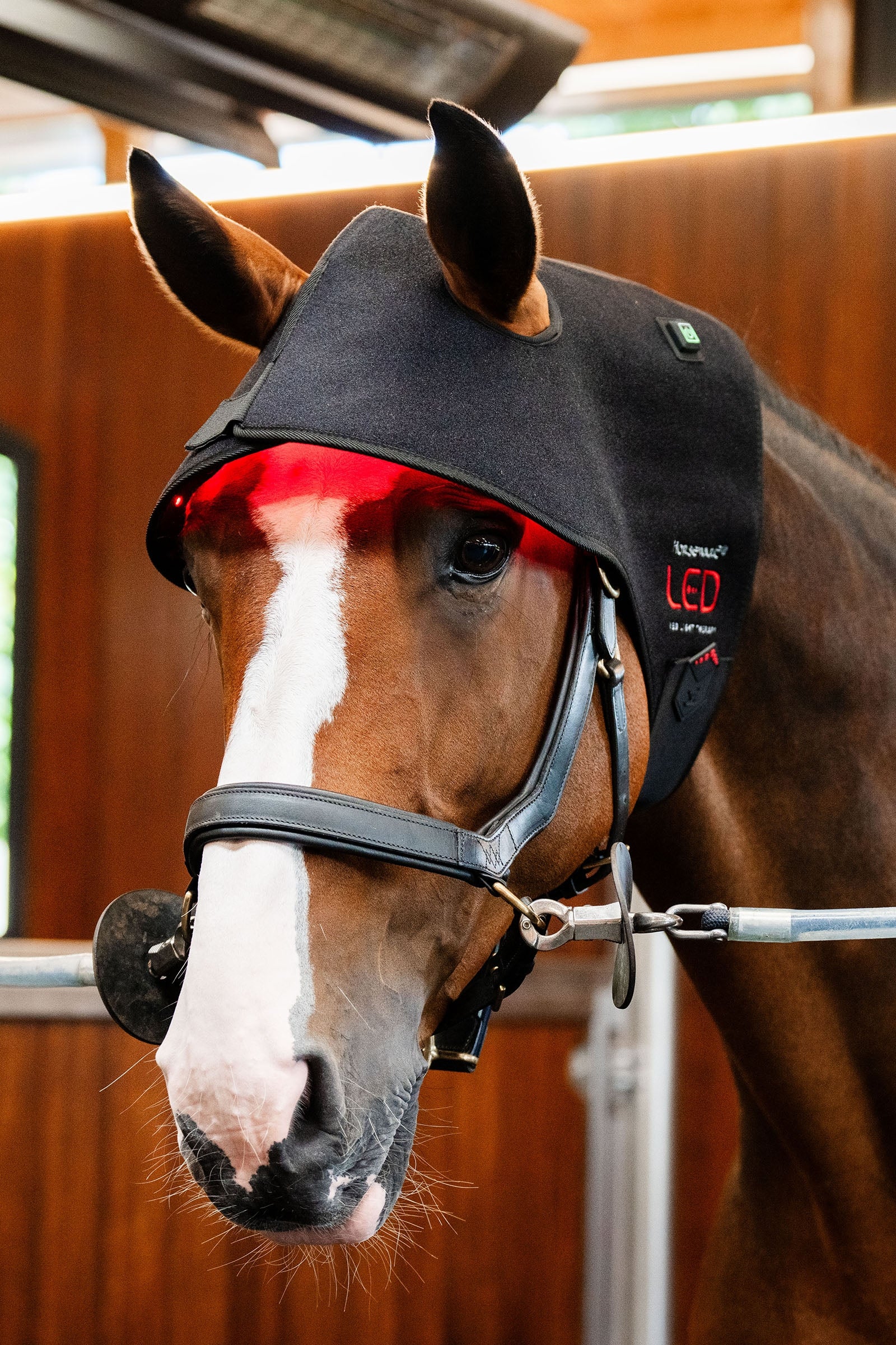 Horseware LED rødt lys terapi nakkelue Dekken