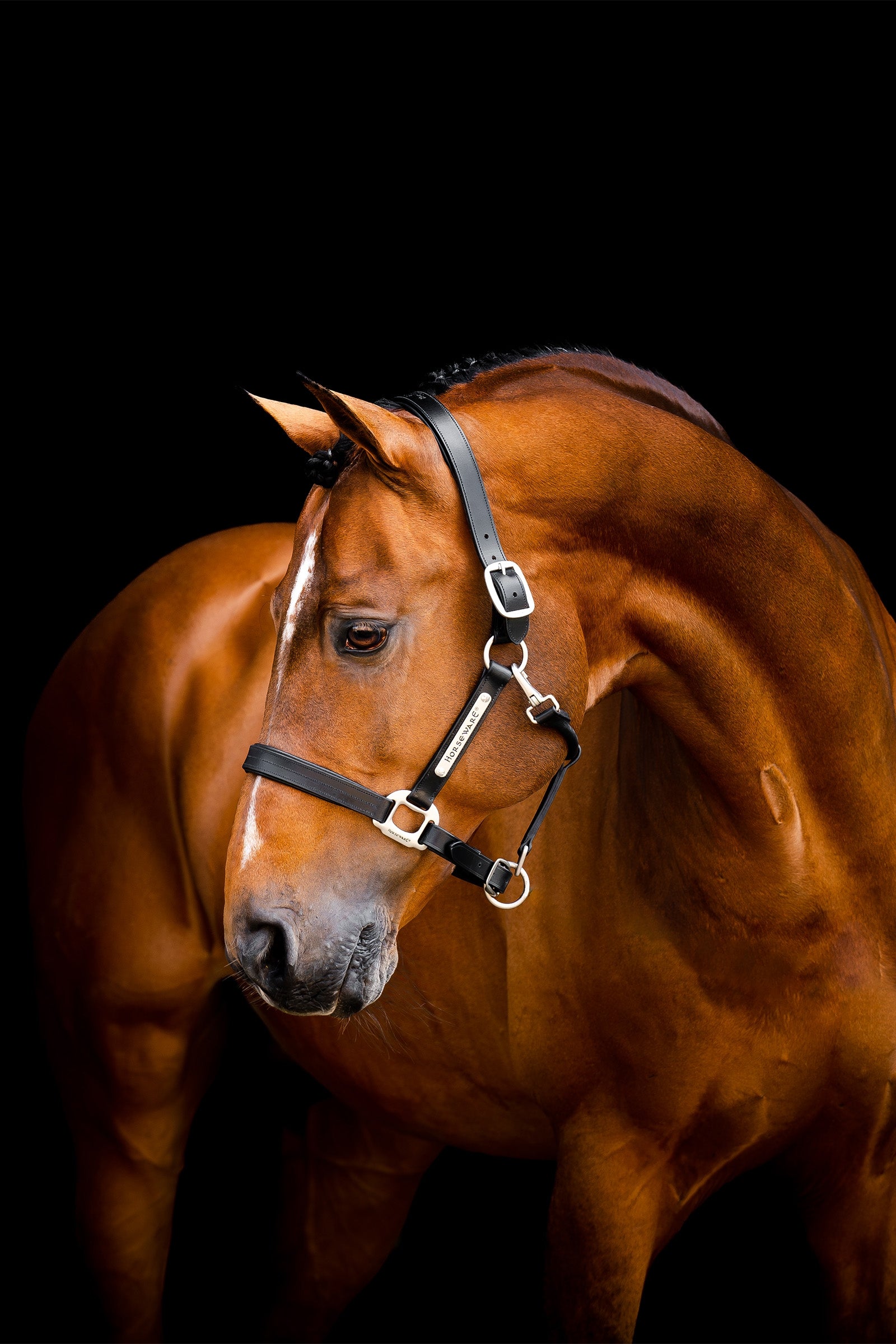 Horseware Signature-grime i lær Grimer og leietau