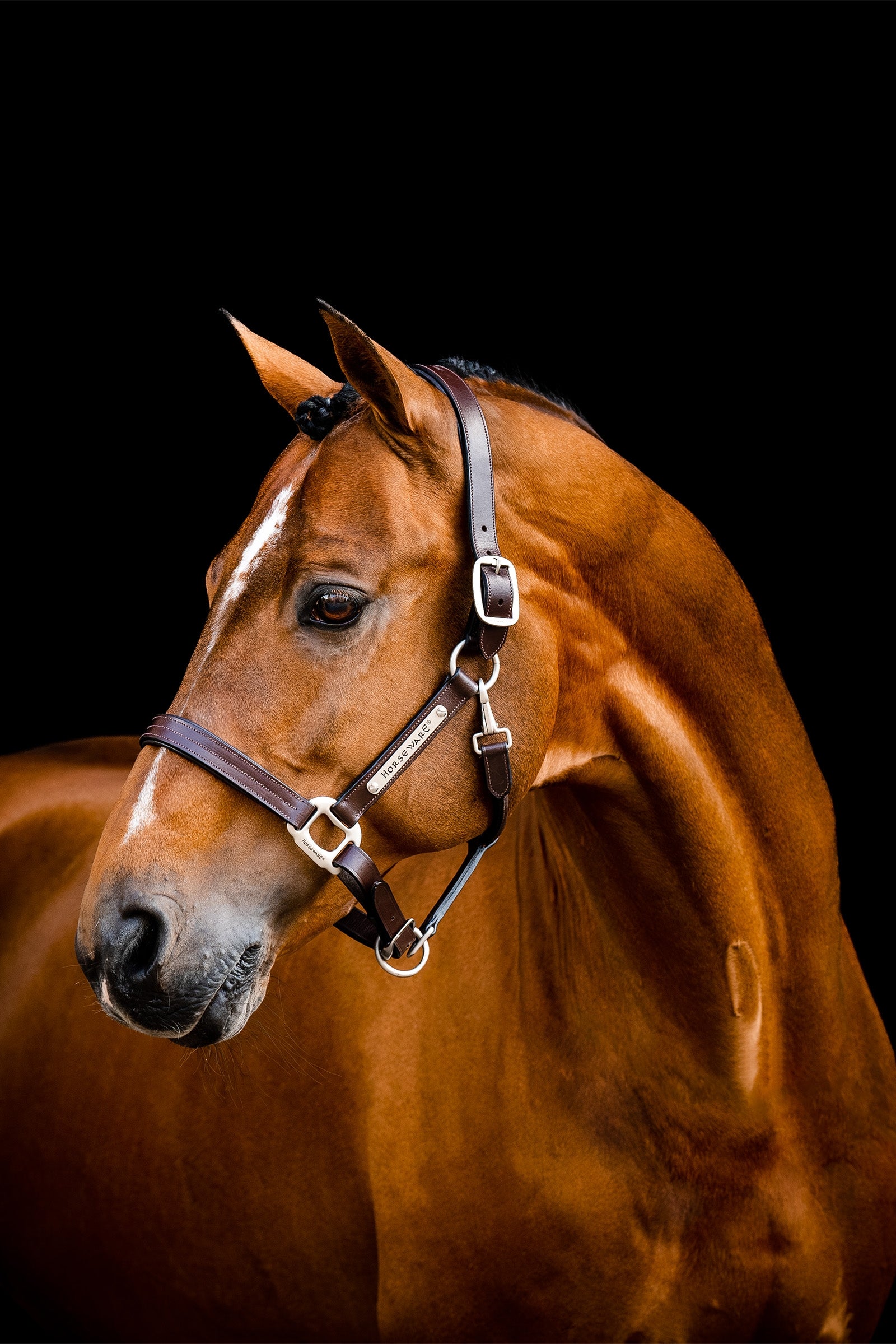 Horseware Signature-grime i lær Grimer og leietau