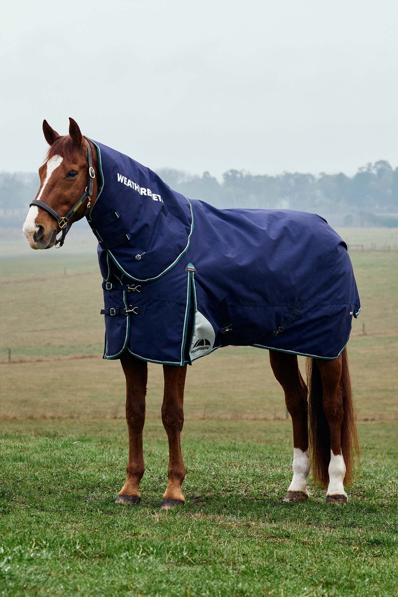 Weatherbeeta ComFiTecPlus Dynamic Turnout Detach-A-Neck 220G Dekken
