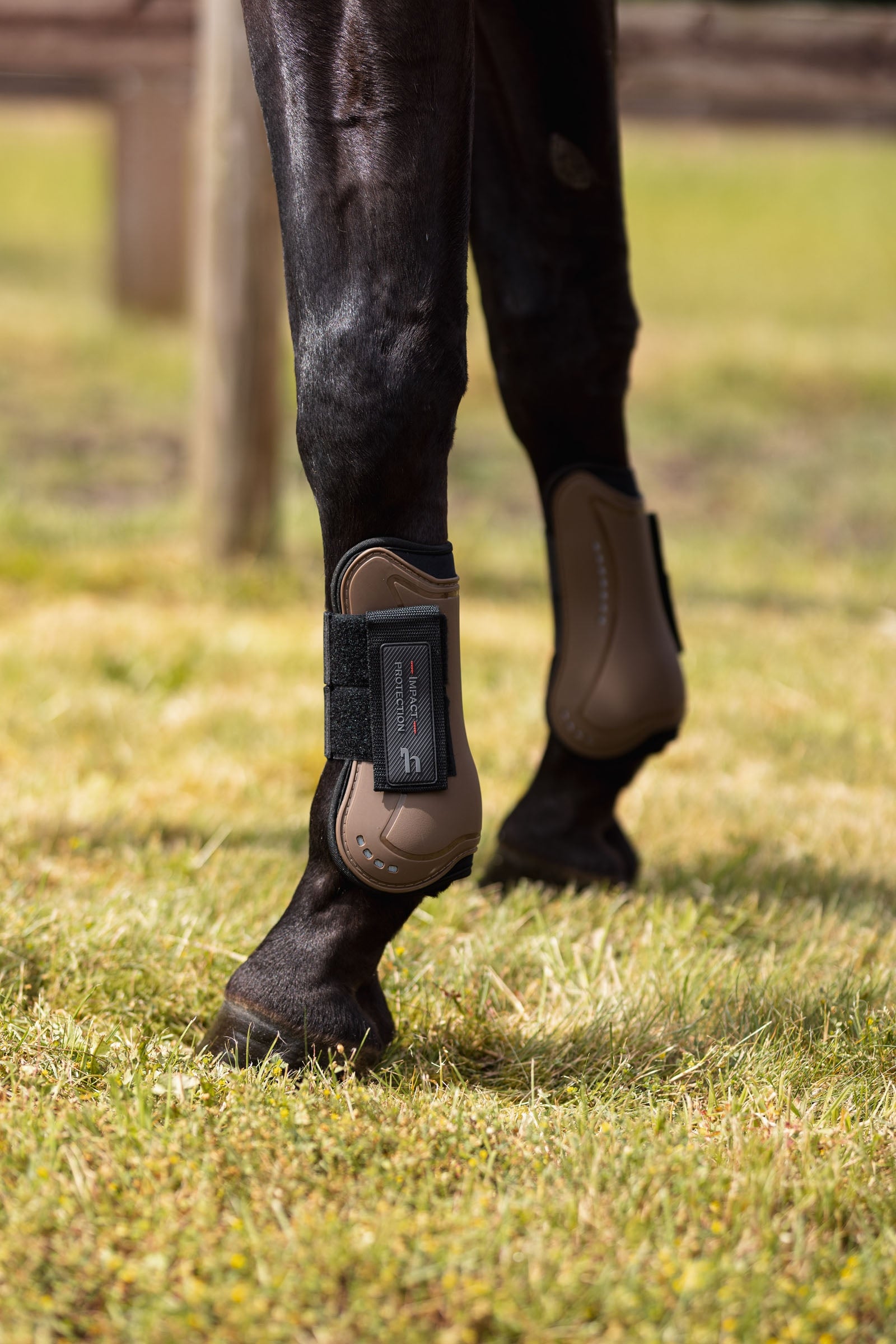 Horze Armour COOL Tendon Leg Protection & Hoof Protection for Horses