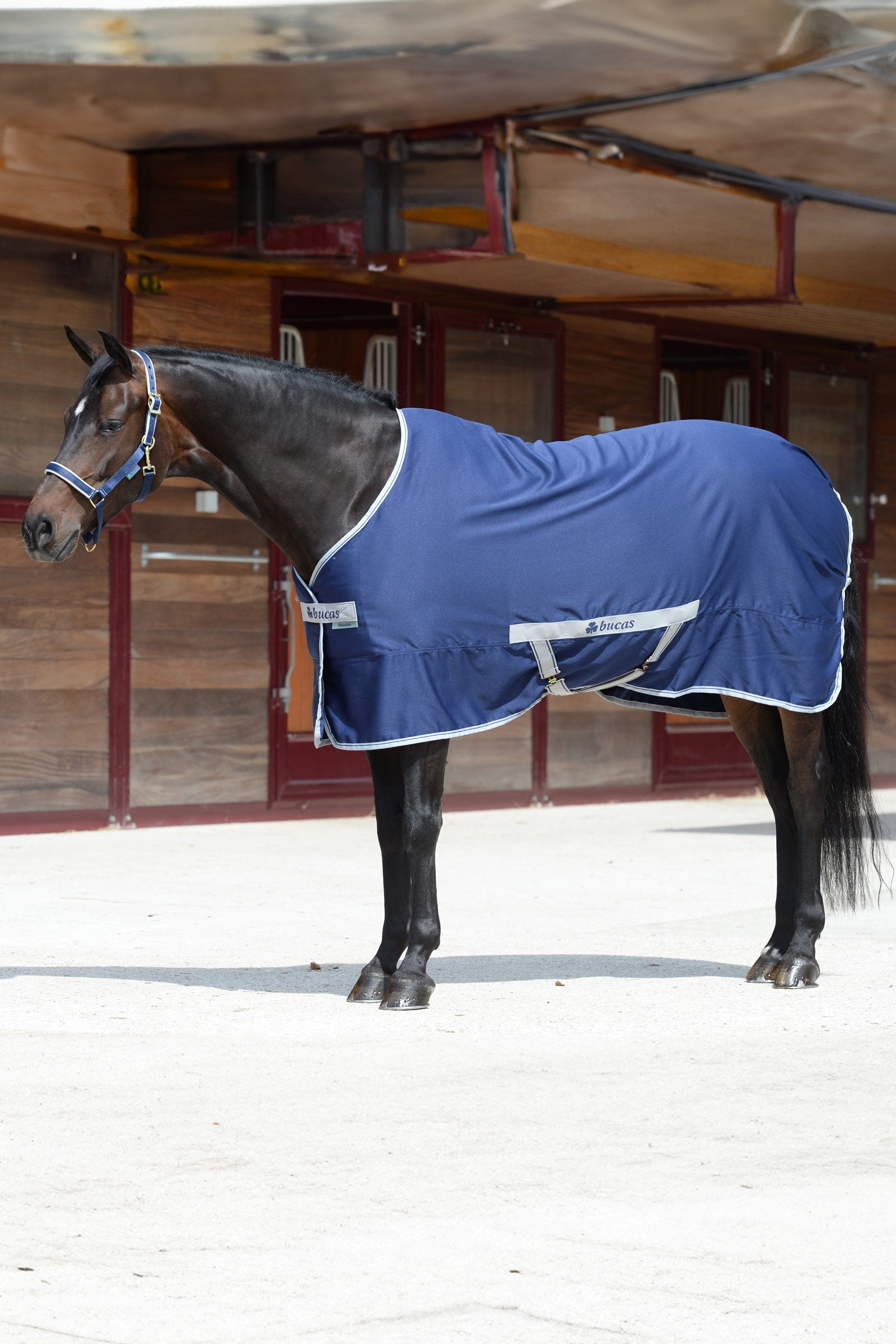Bucas Freedom Twill Stable Rug, 0 g Horse Rugs