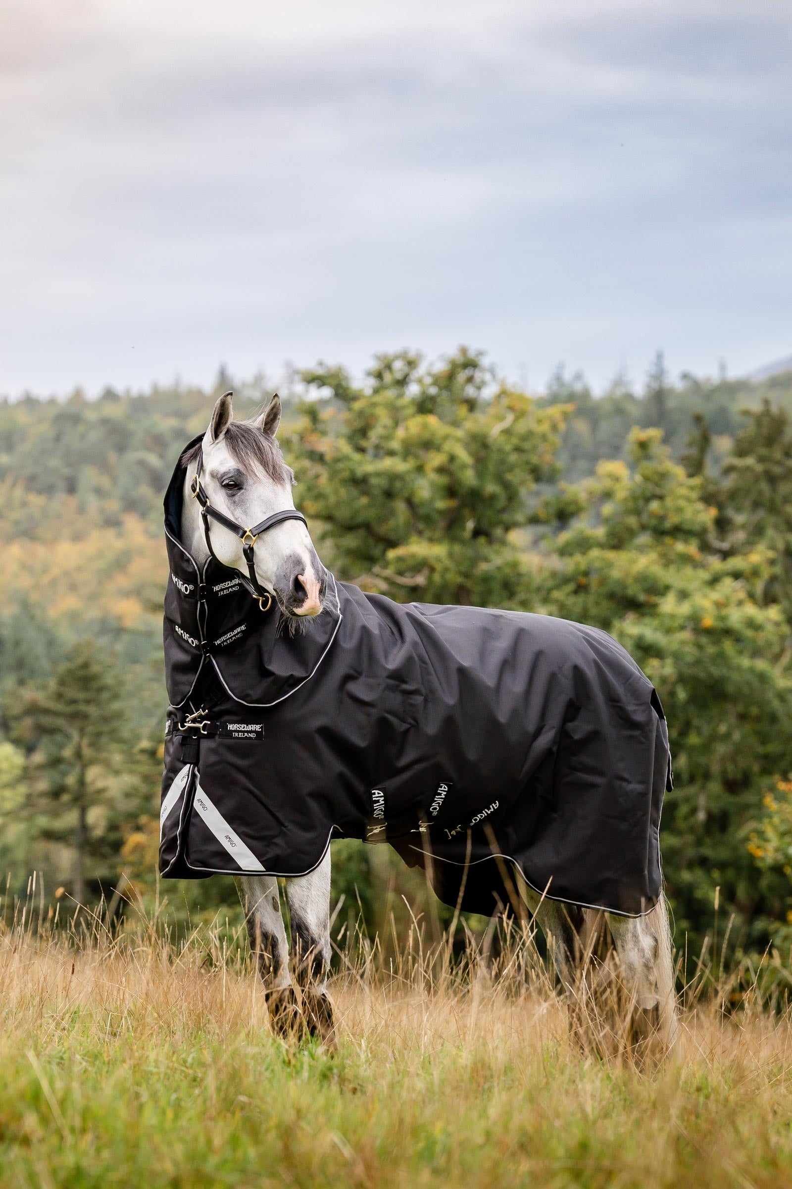 Horseware Amigo Super Bravo Plus utedekken med avtakbar halsdel, 250 g Dekken