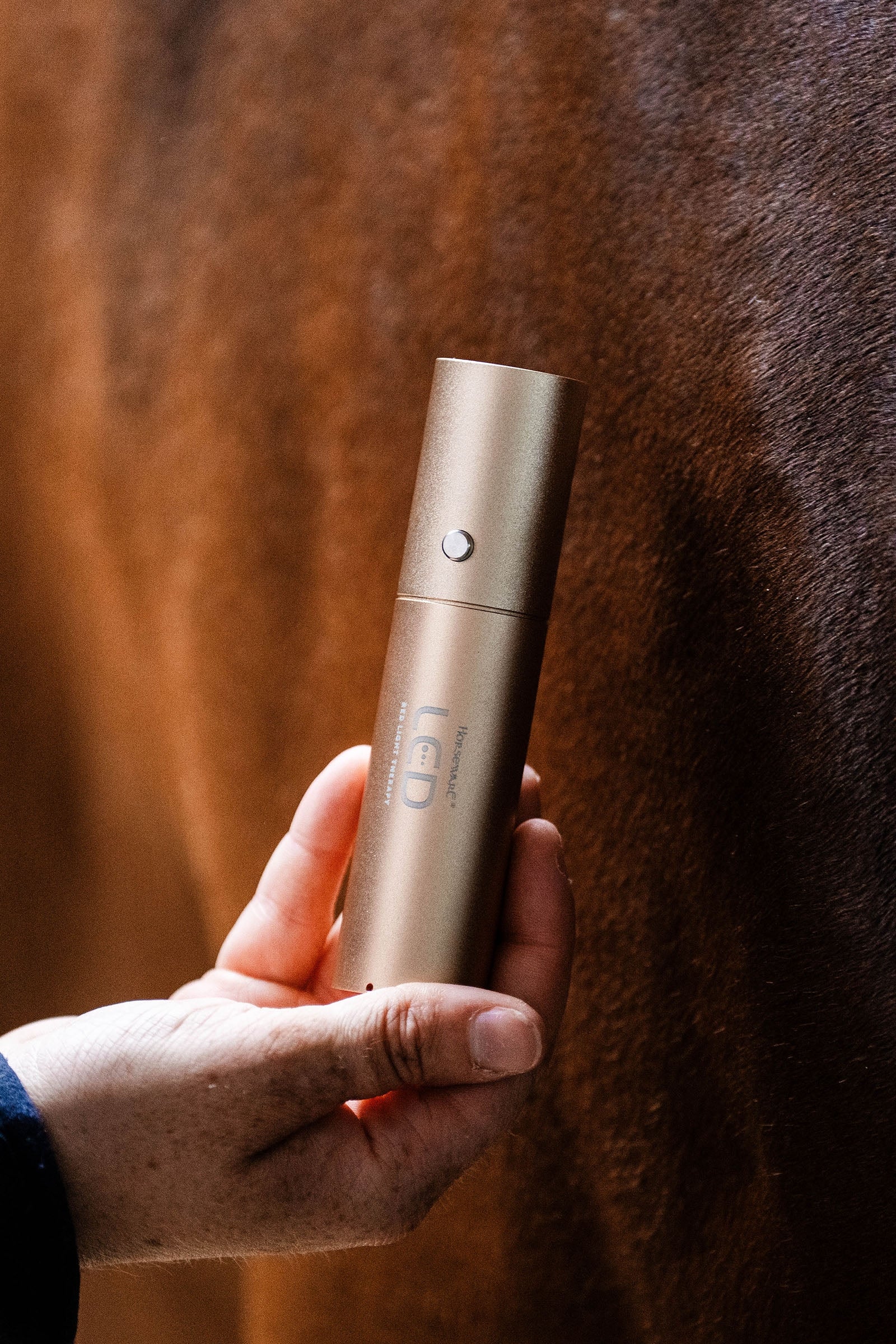 Horseware LED rødt lys terapi Stav Dekken