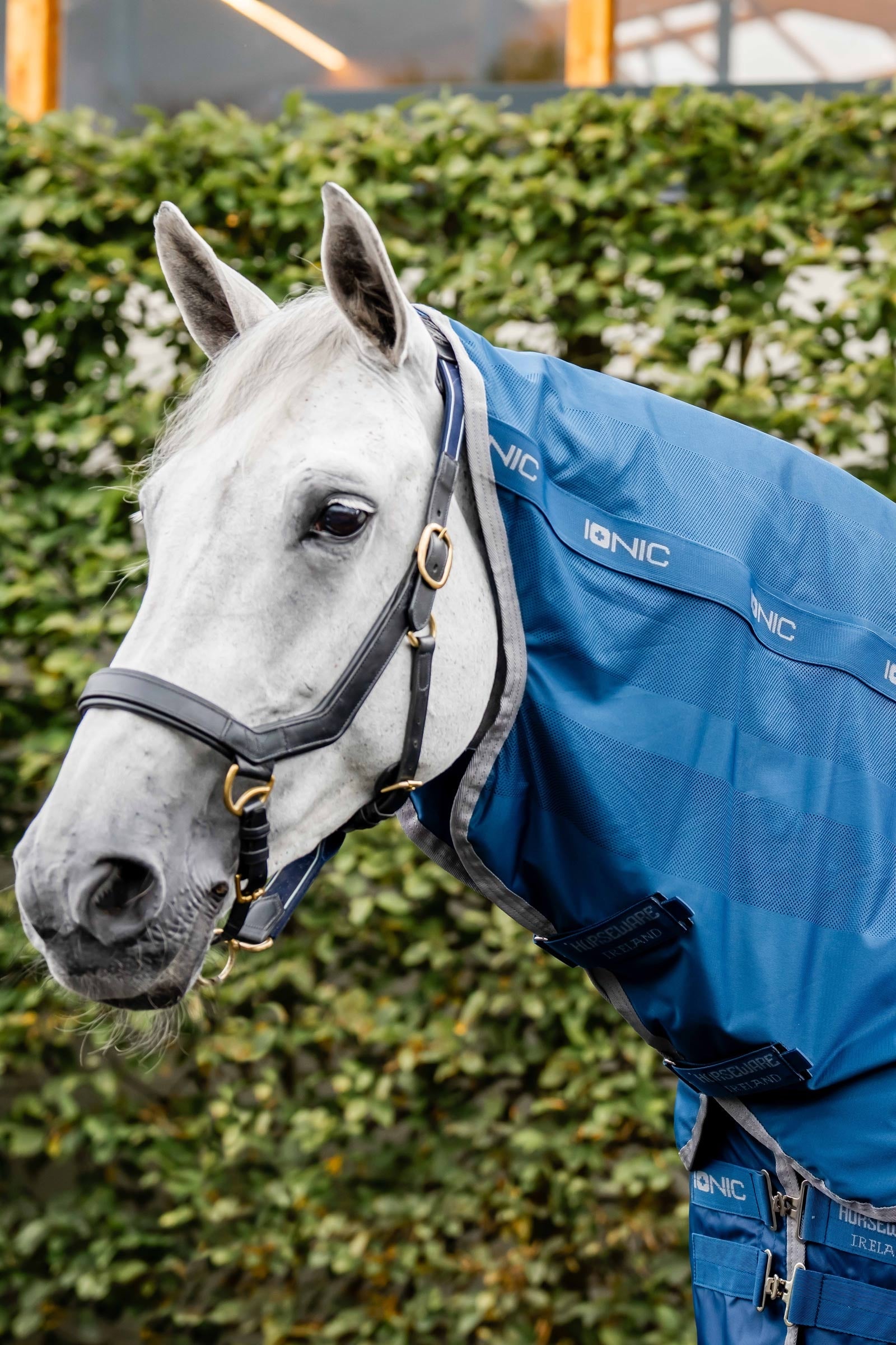 Horseware Ionic Therapy Hals for Mesh Cooler-dekken Dekken