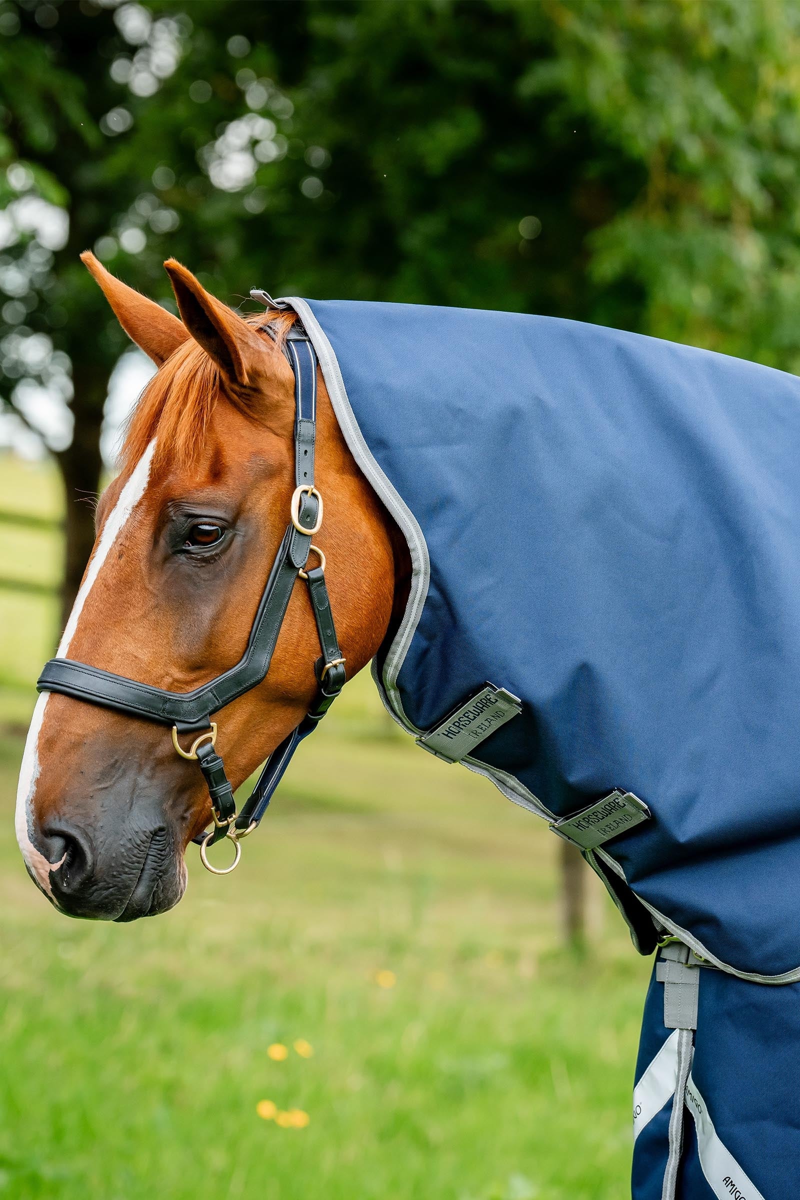 Horseware Amigo 1200D halsstykke 150g Dekken