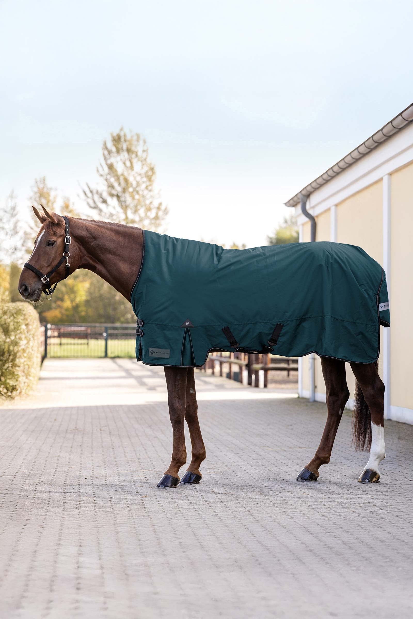Waldhausen Arctic Outdoor Rug With High Neck, 100 g Dekken