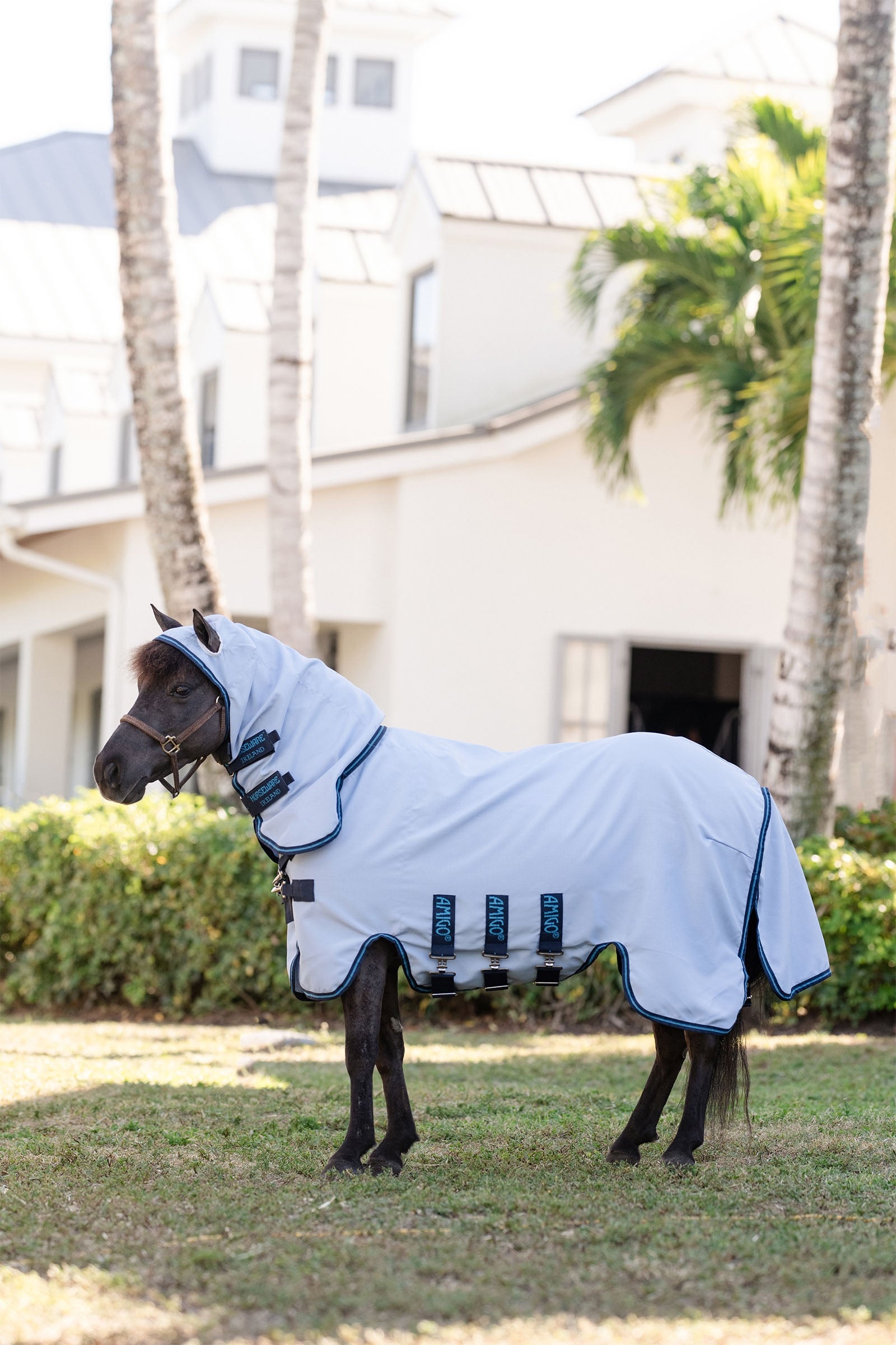Horseware Amigo Ripstop Hoody Petite, fluedekken Dekken