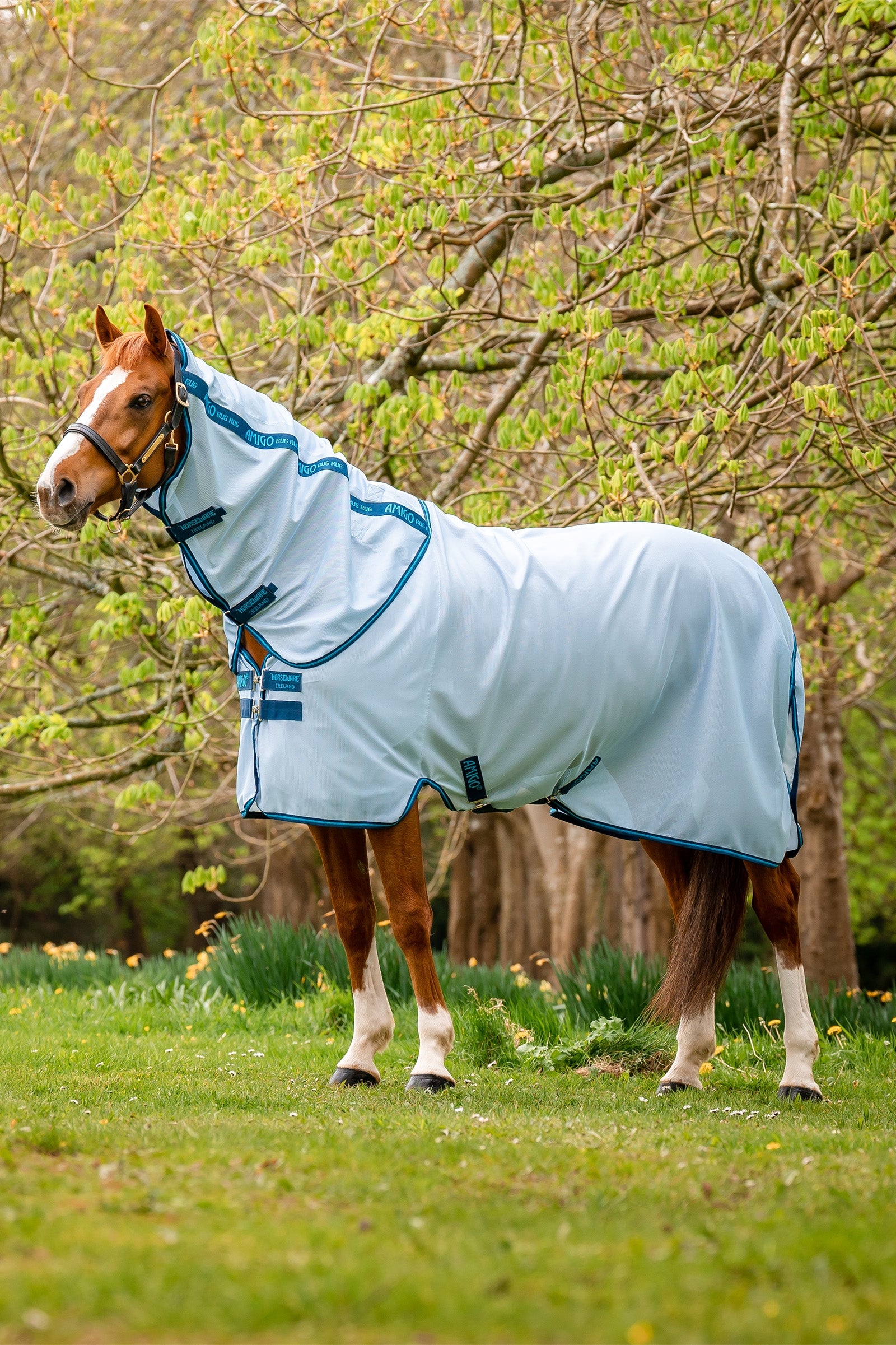 Horseware Amigo Fluedekken Dekken