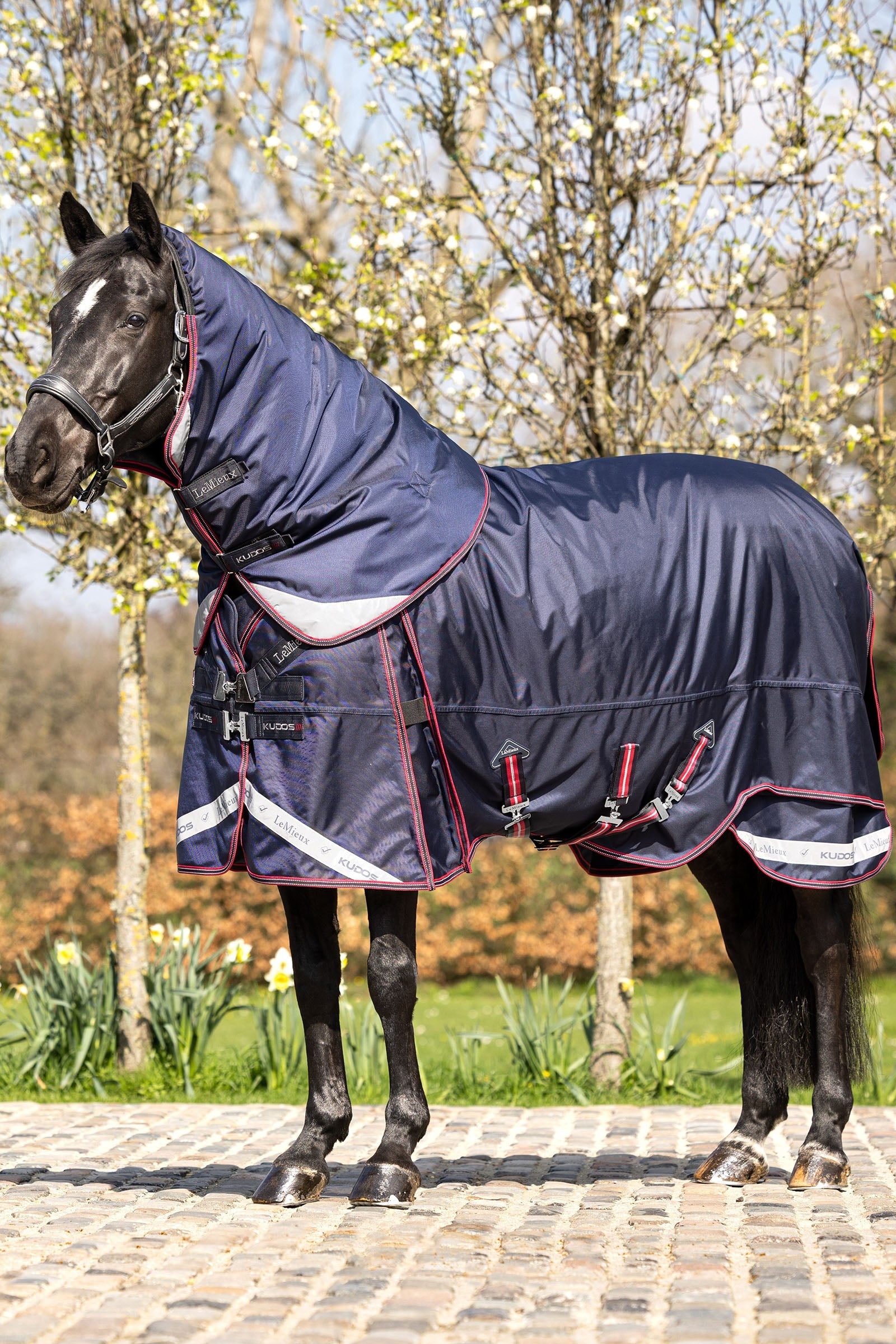 LeMieux Kudos Thermo Layer utedekken 100g Dekken